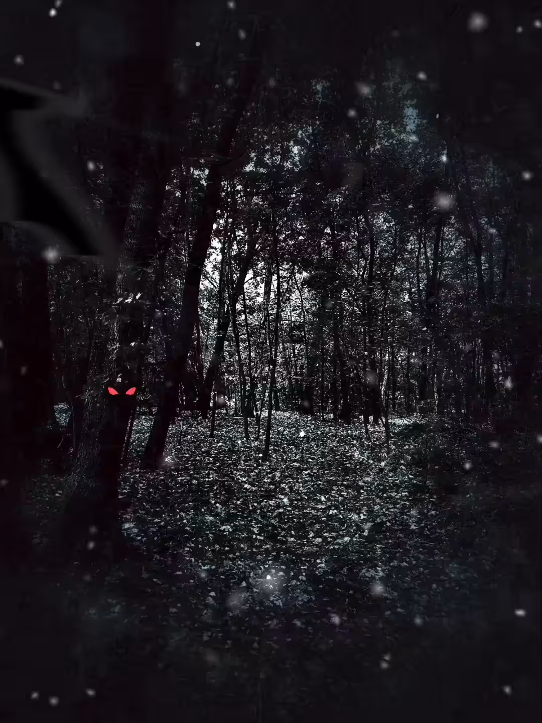 In the dark forest