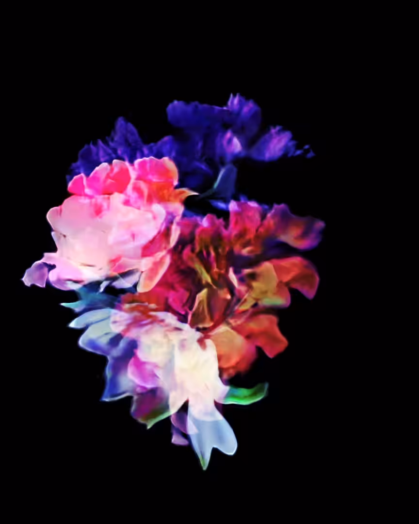 Bloom 01