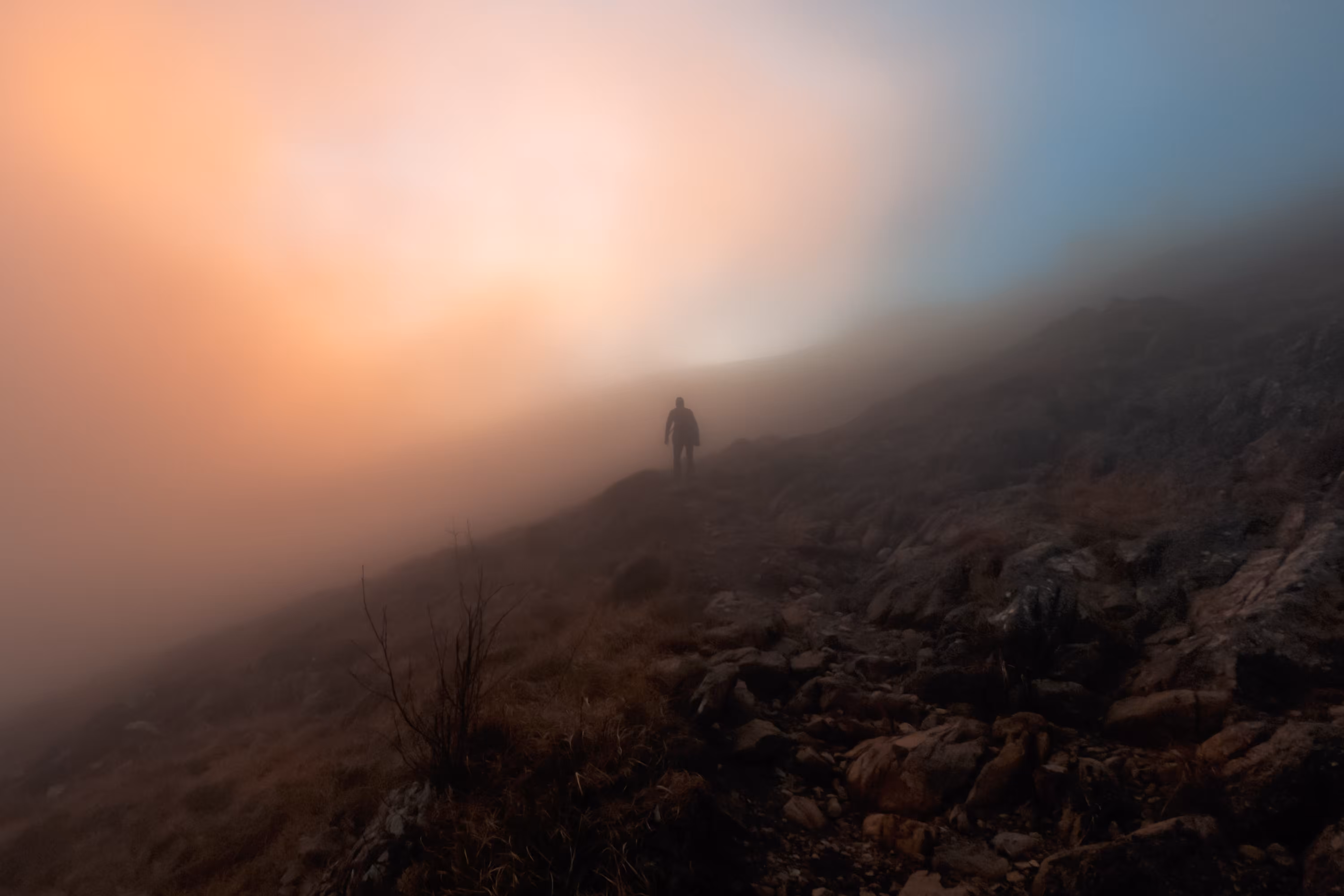 Strangers #14 - Tobbio