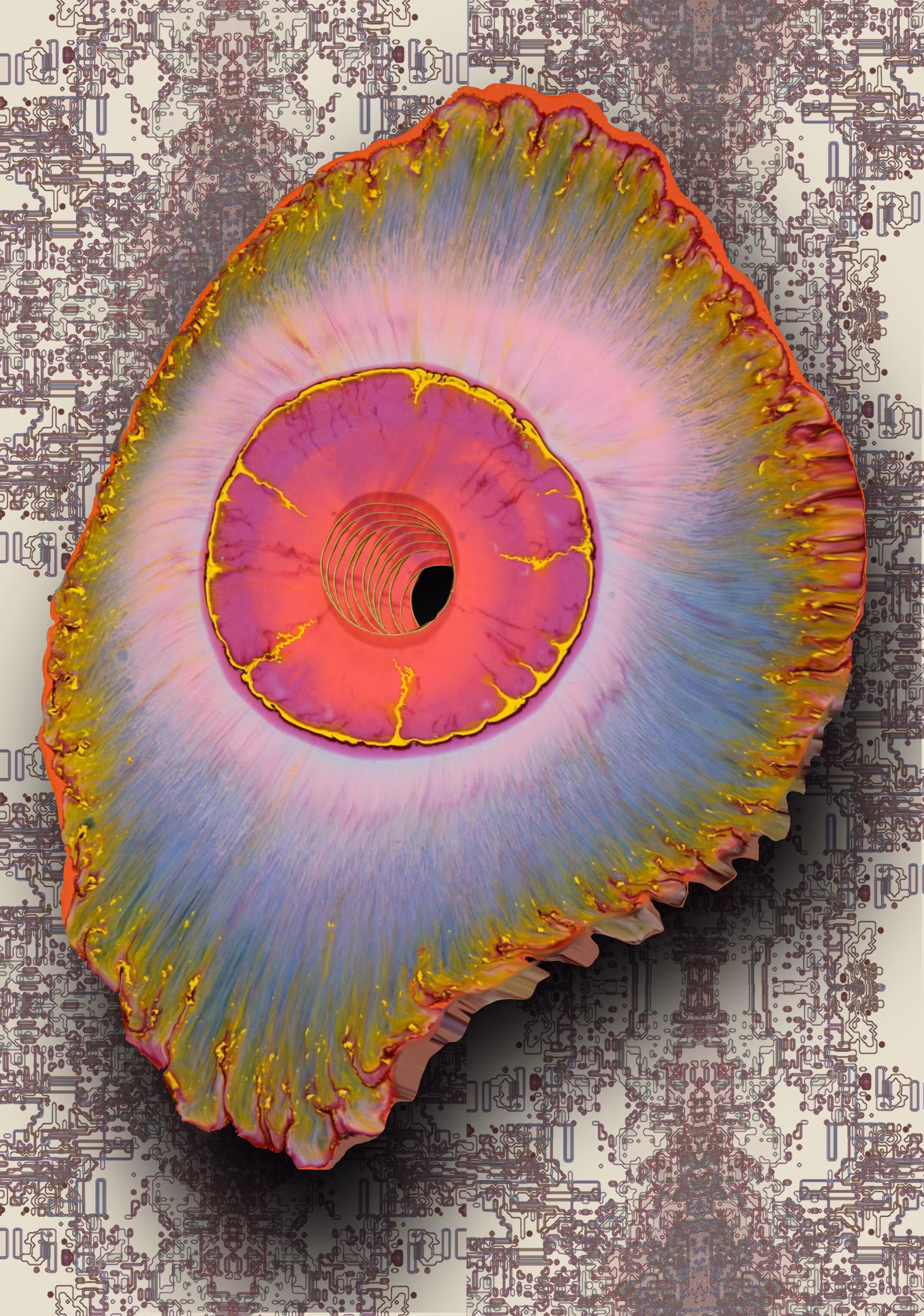 Cell