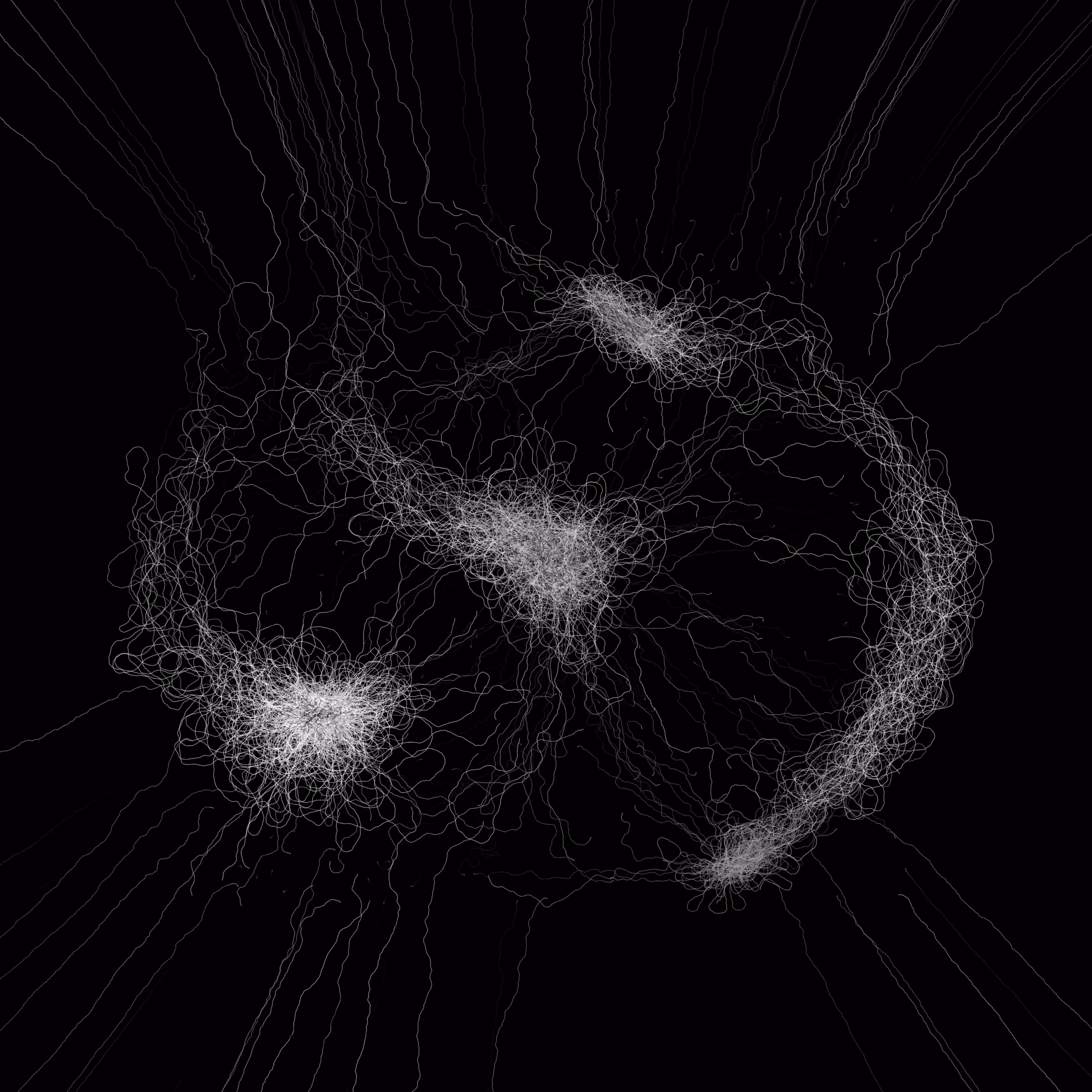 Phototaxis #572