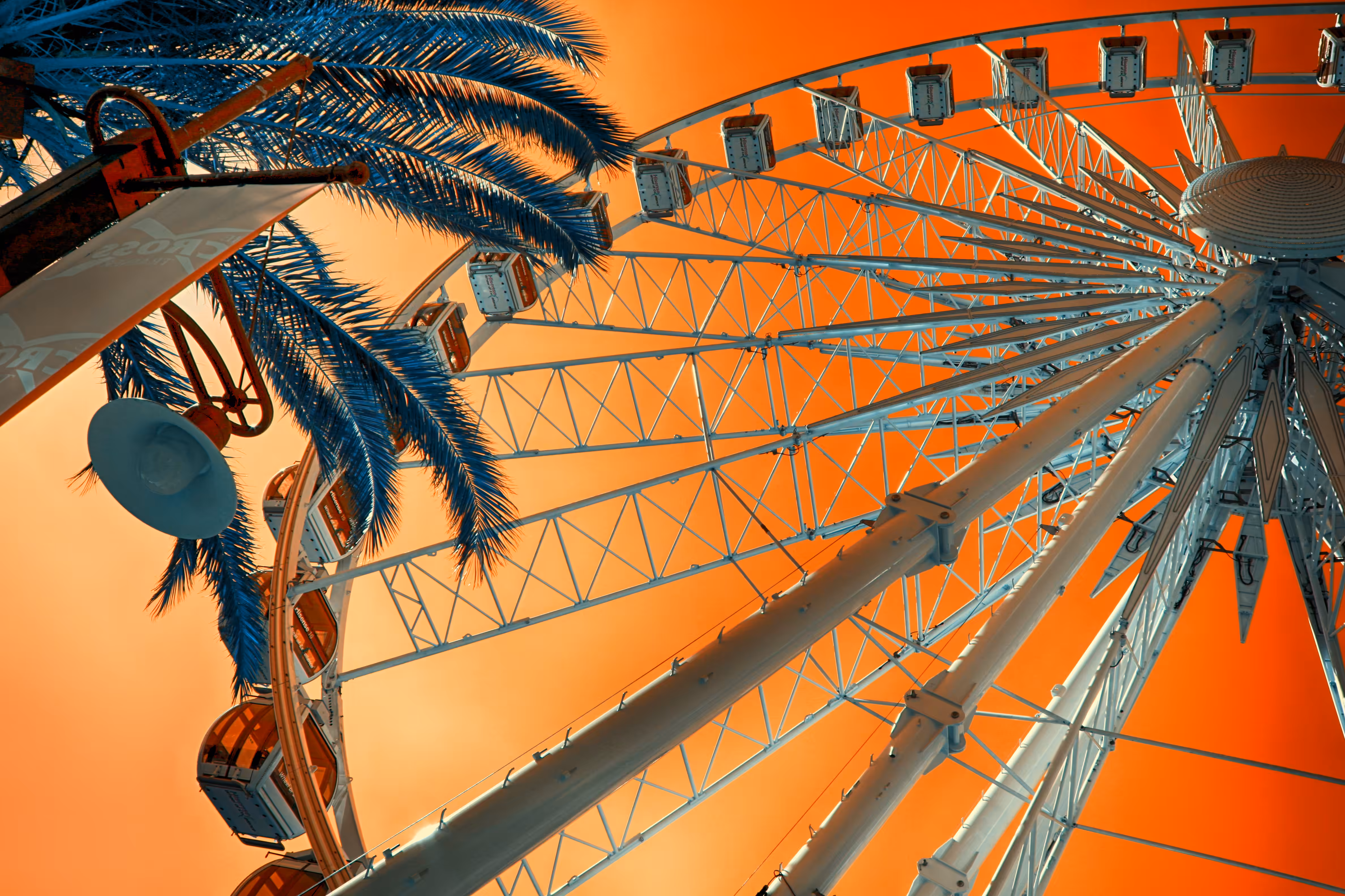  The Cape Wheel