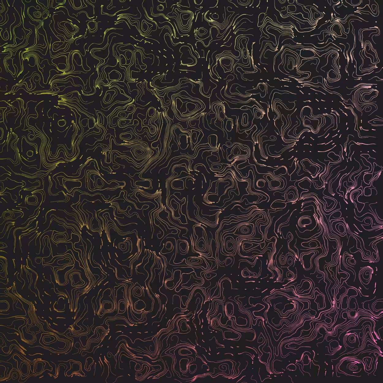 Topographic Lines #33