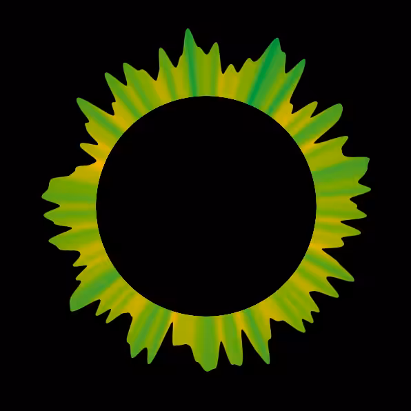 Blackhole Sun
