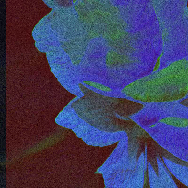 CLDCSMC #13