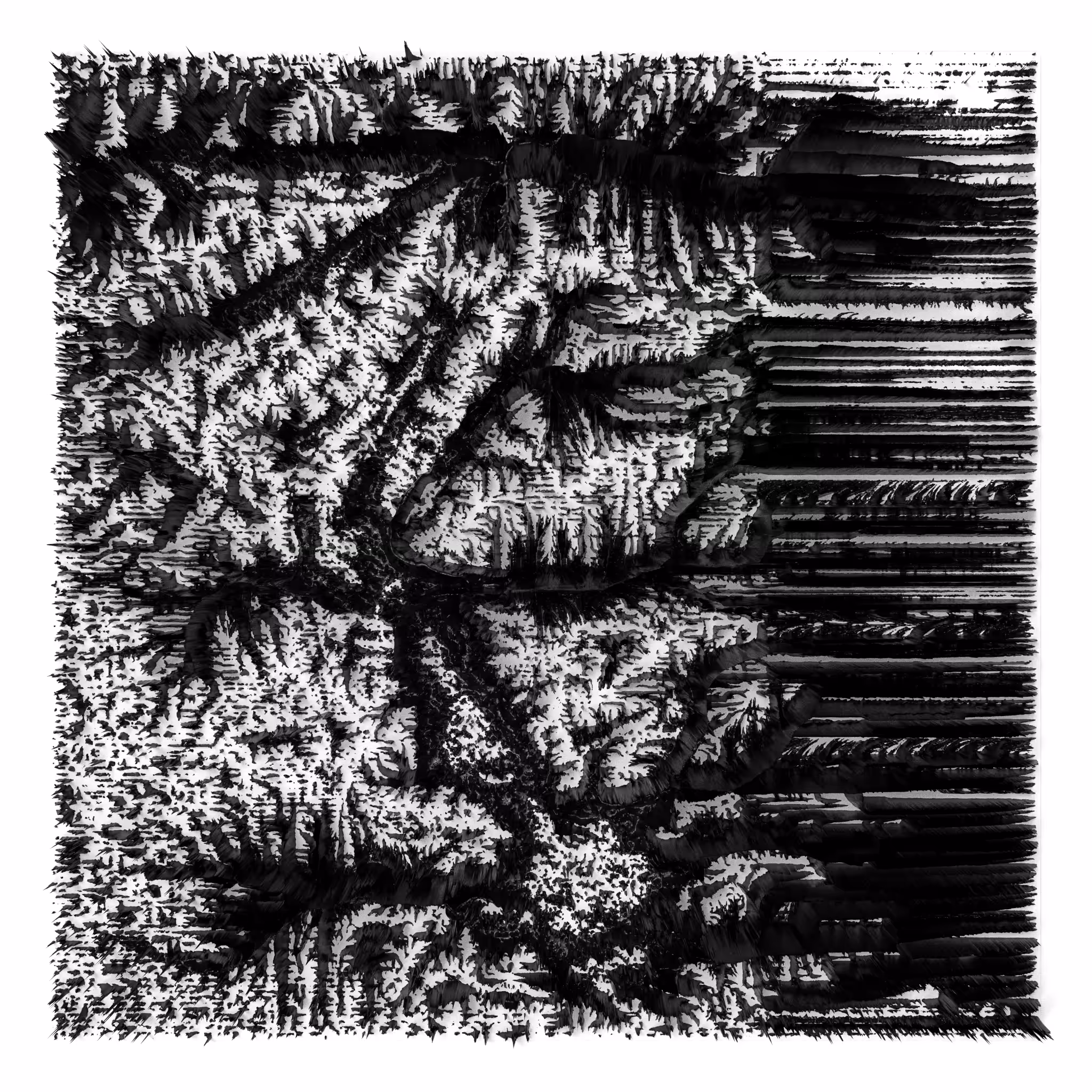 BW Algoscapes 13