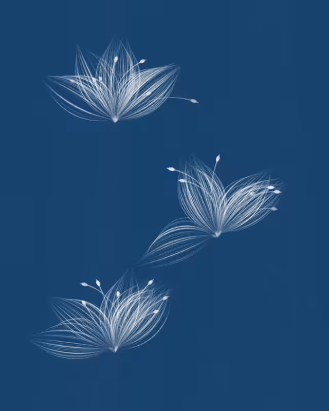 Cyanotypes #229