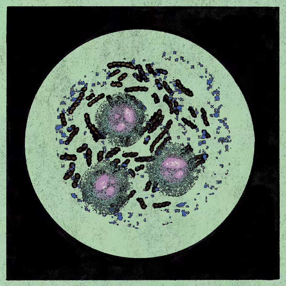 Microbes #155