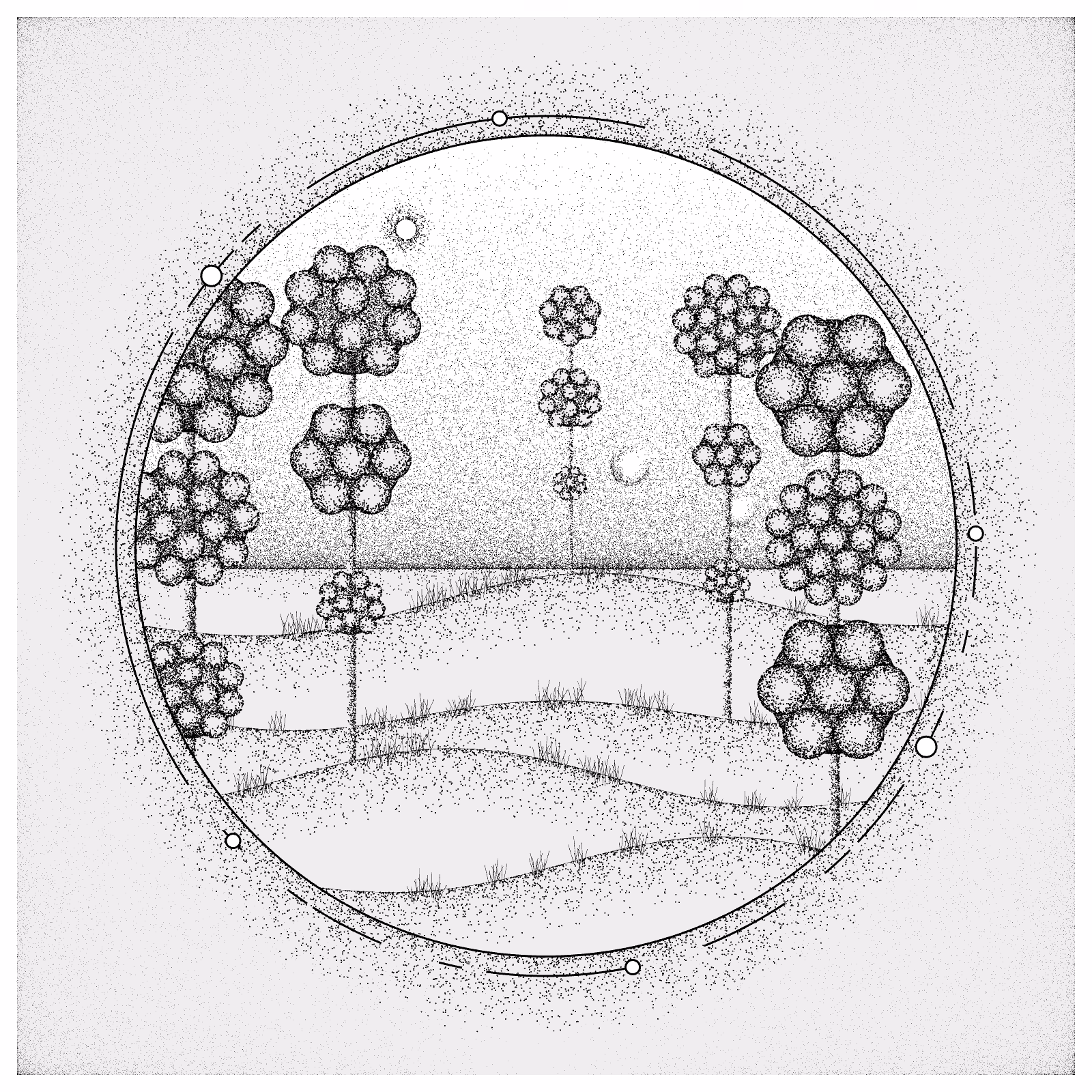 EXPLORING SPACE FLOWERS #48