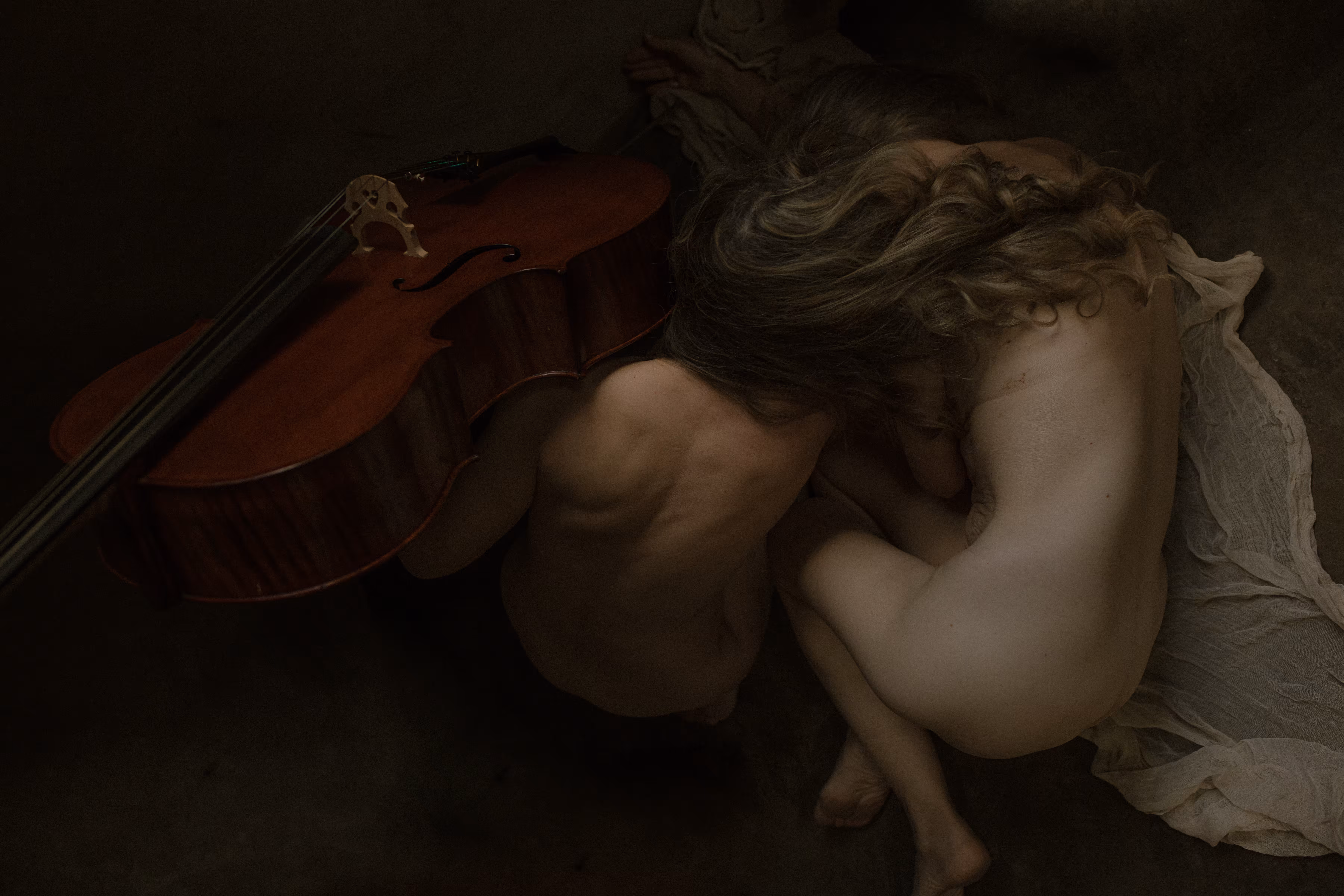 L'Orchestre
