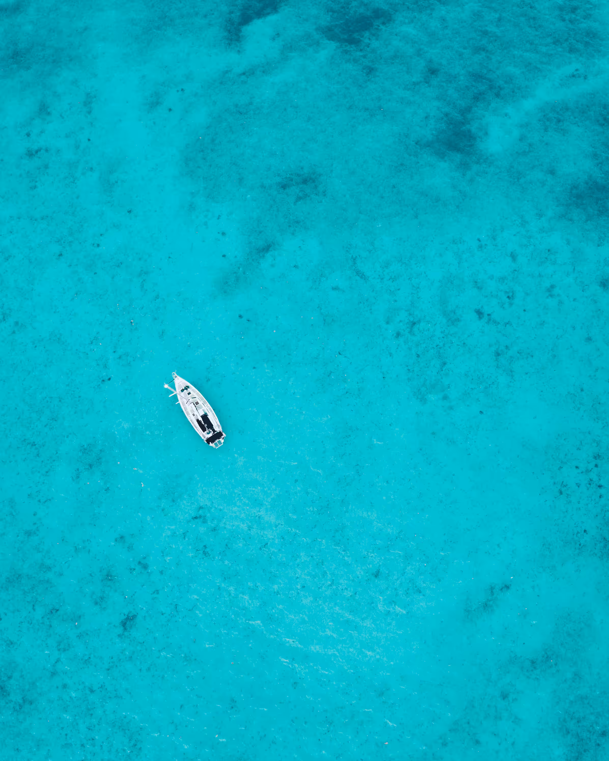 Drone Chronicles #06