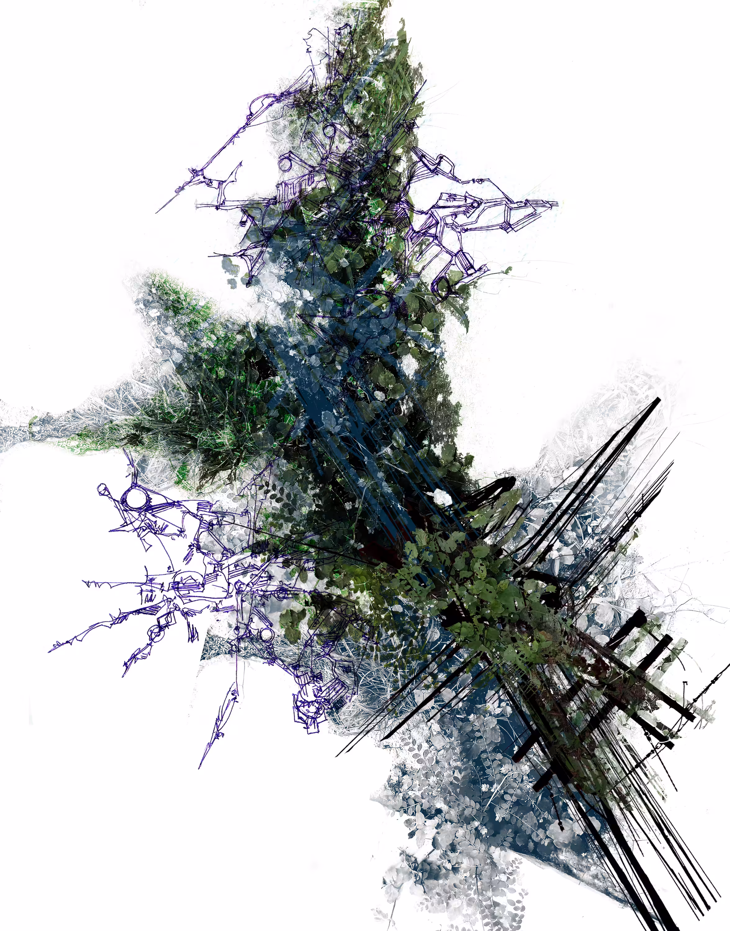 PluriOrganicGraphism II