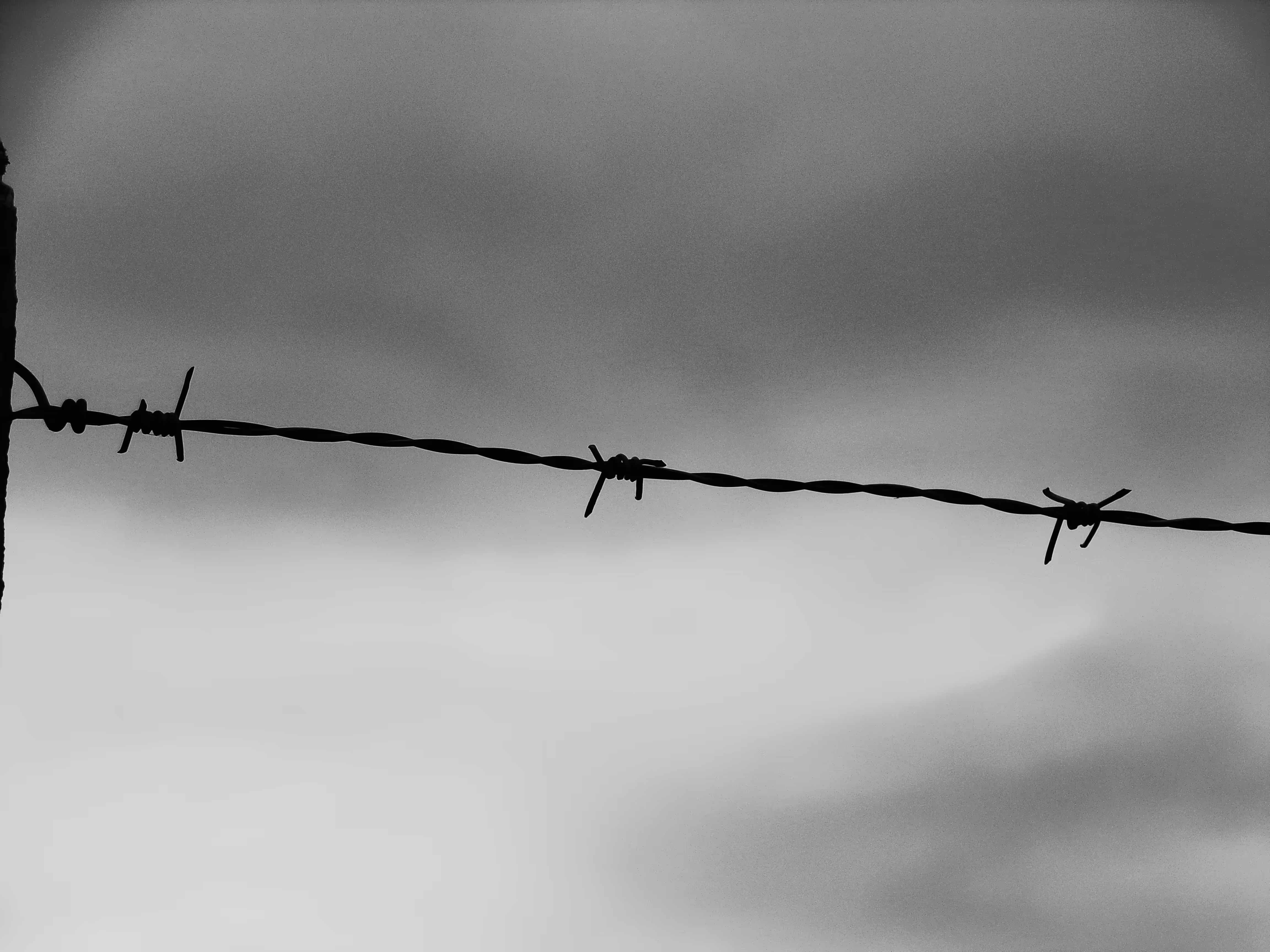 Enigma