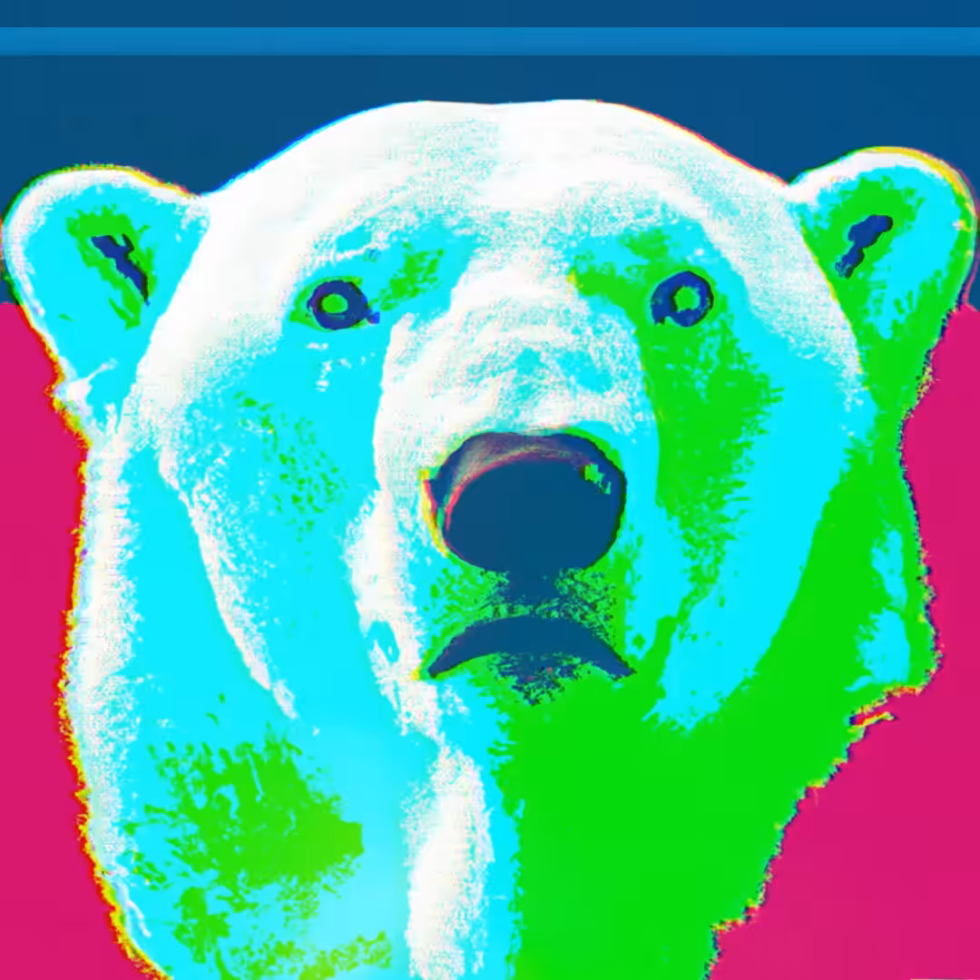 SPIRIT ANIMALS: POLAR BEAR - SA#010