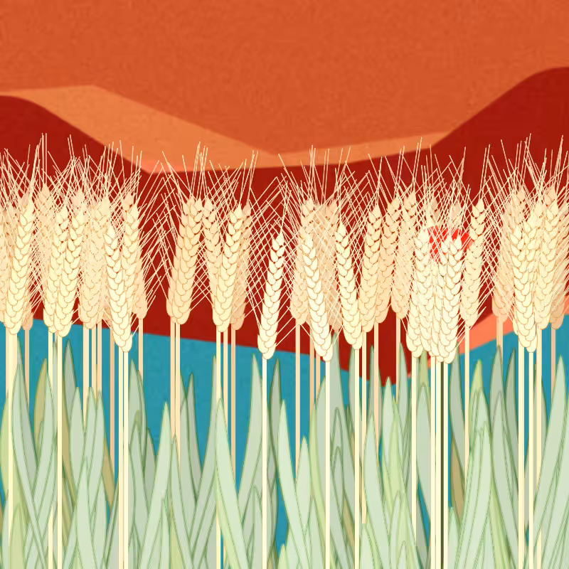 Symbiosis #36
