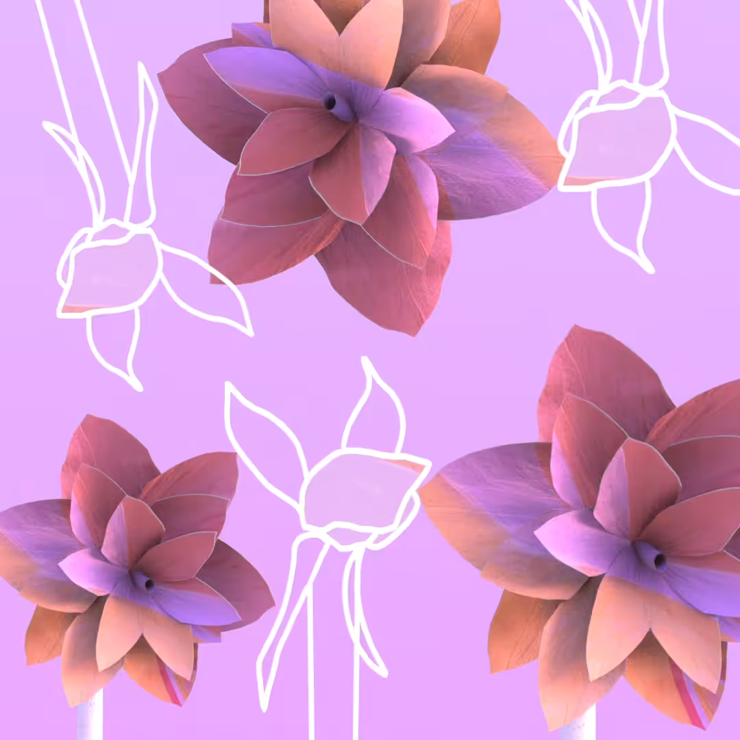 2-3D Amaryllis