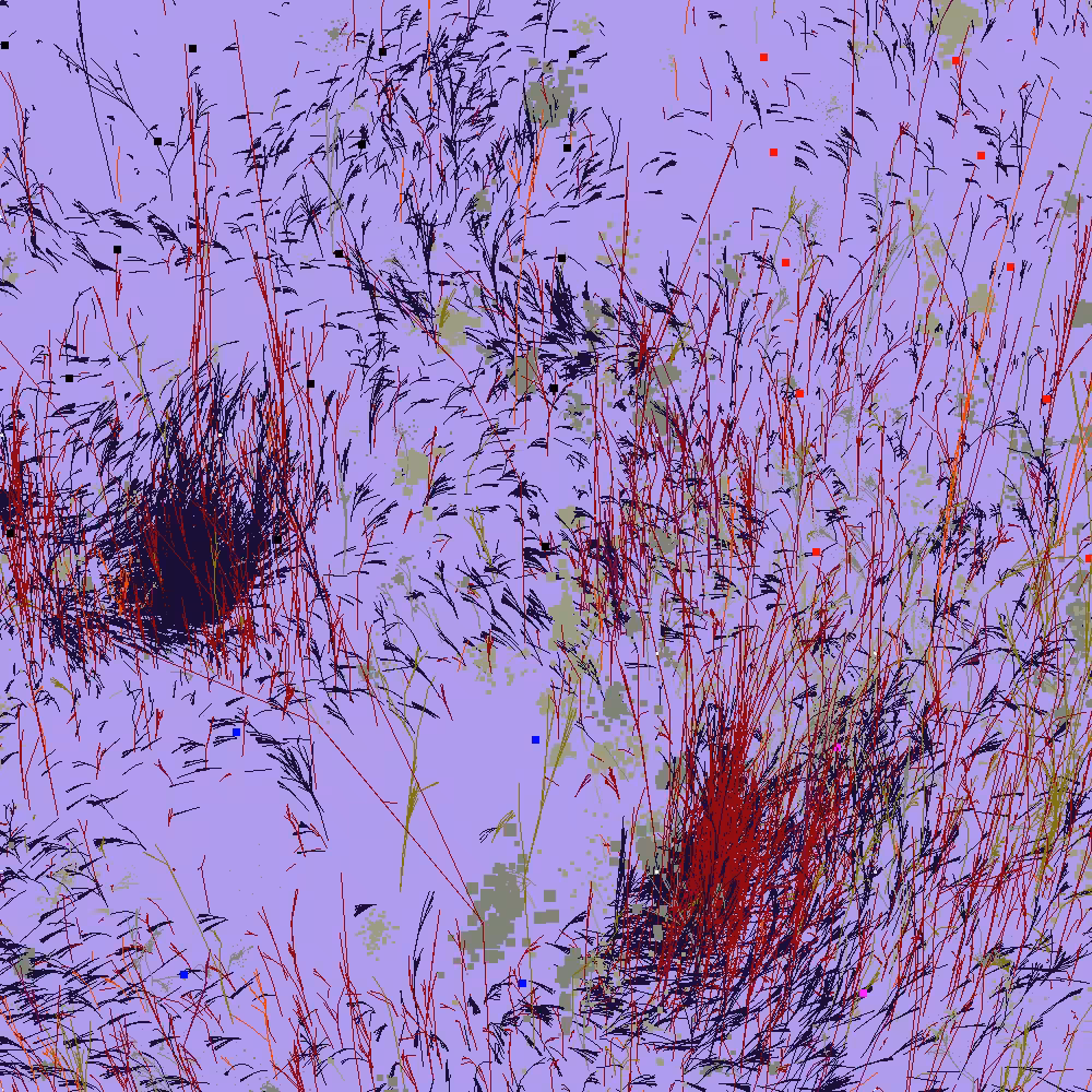 Infinite Garden: 24684 Flowers