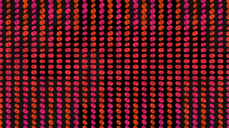 Polka #298