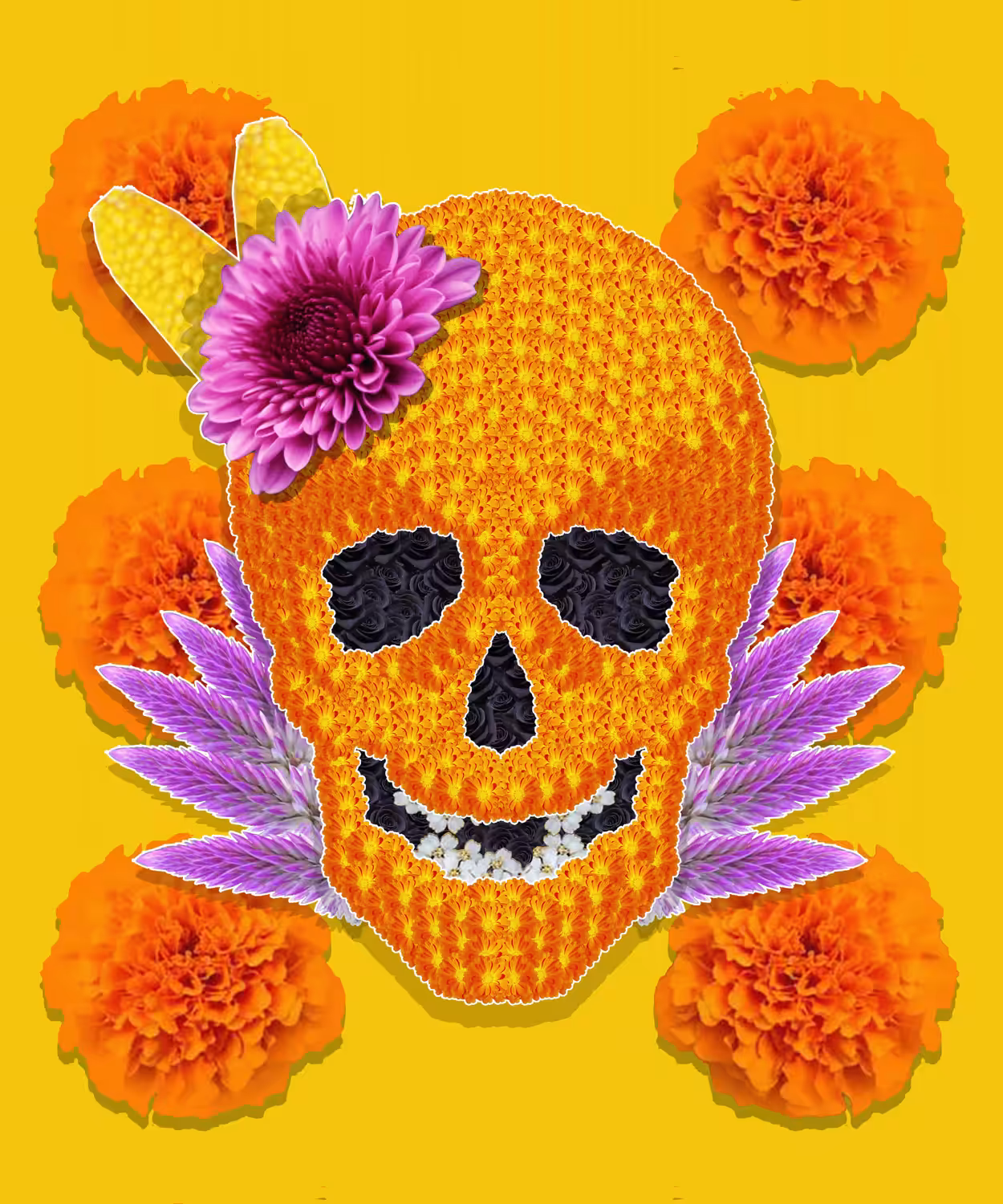 Rose's deathday