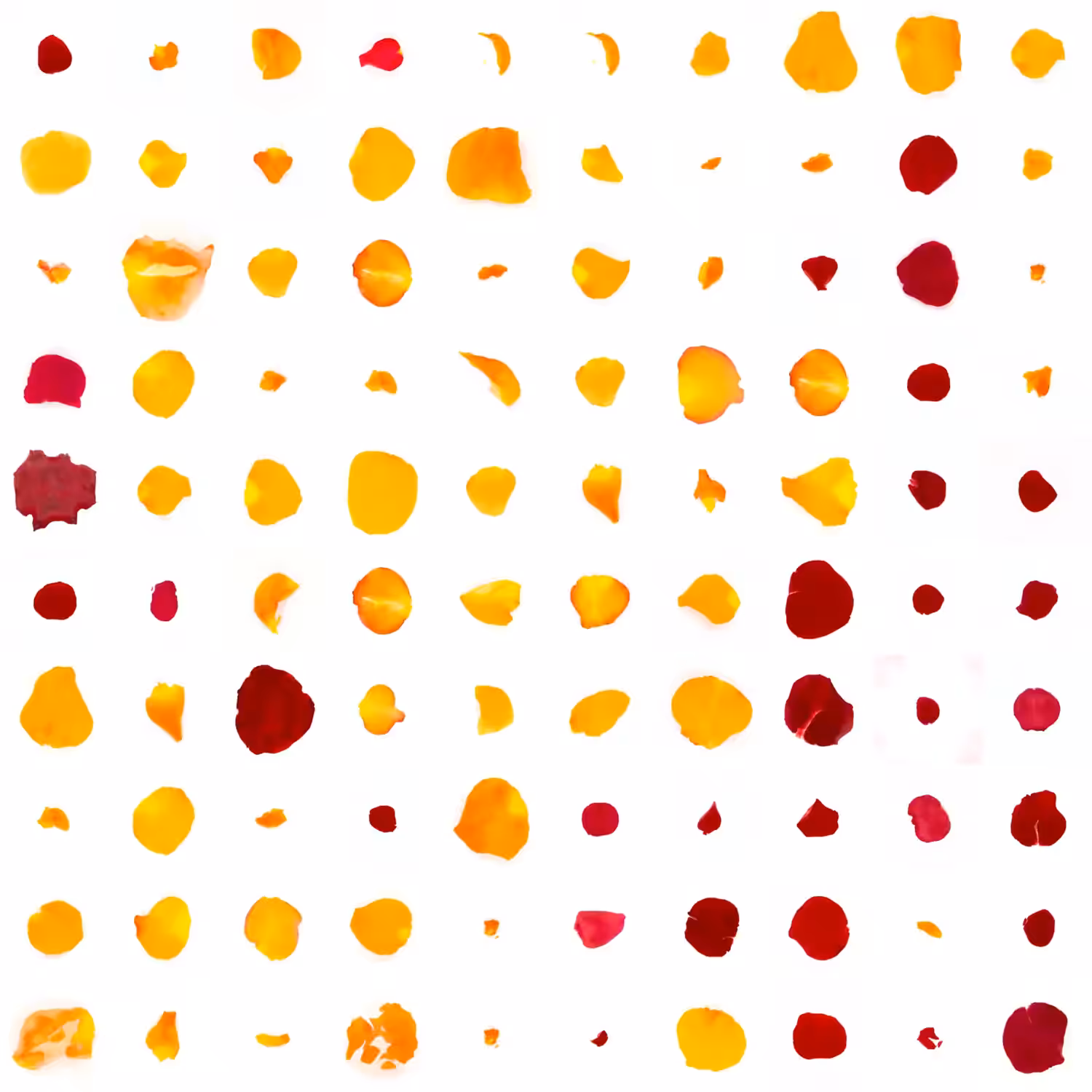 Infinite Petals 10x10#10175