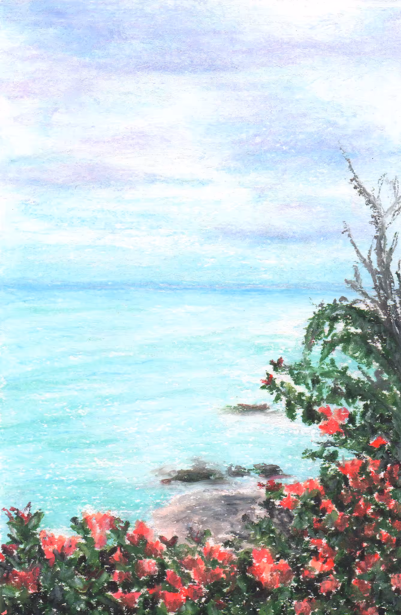 "Sep.sea.seed27"
