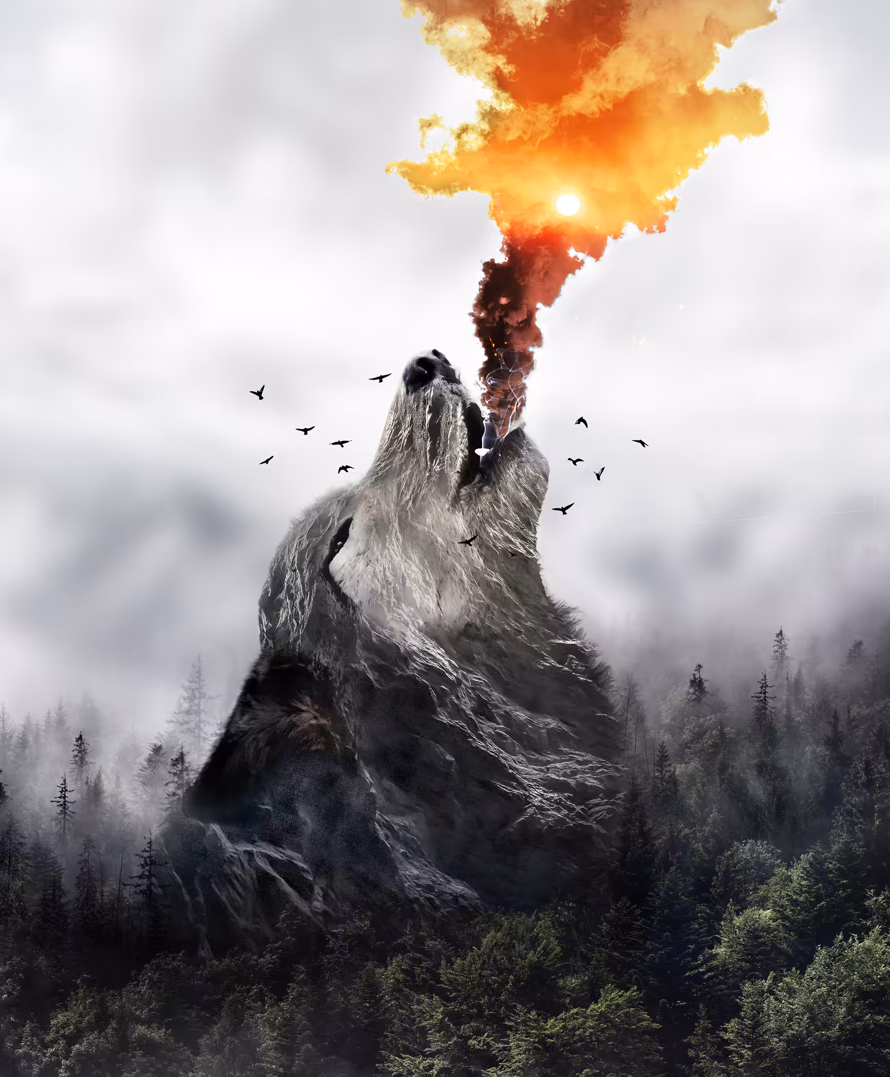HOWL