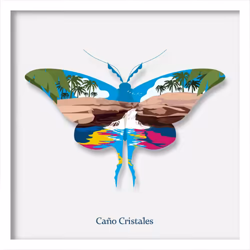 Caño Cristales