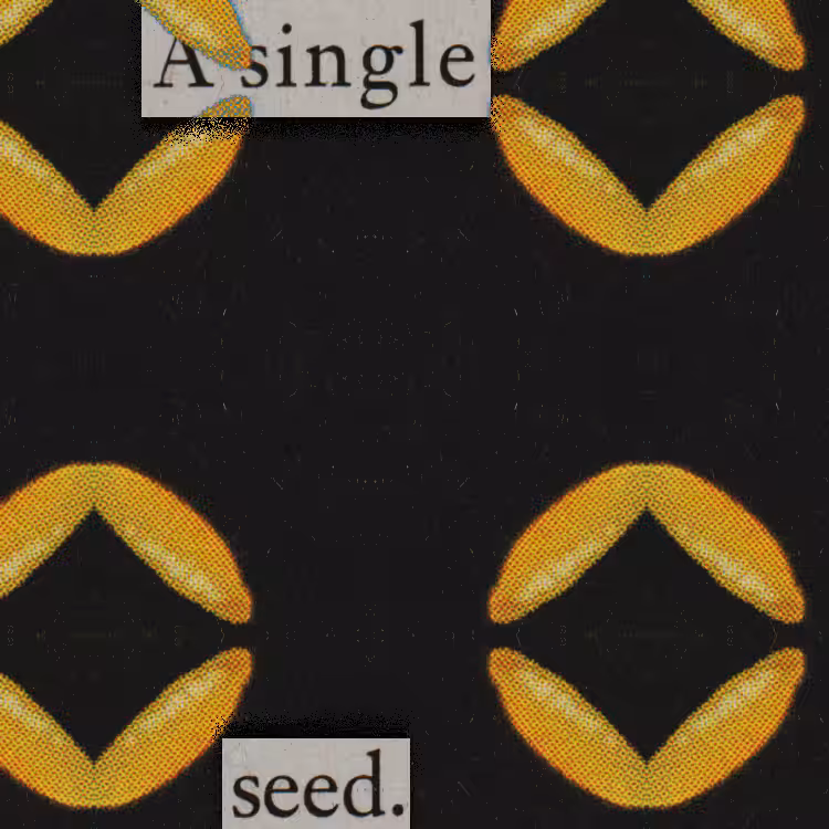 Single Seed
