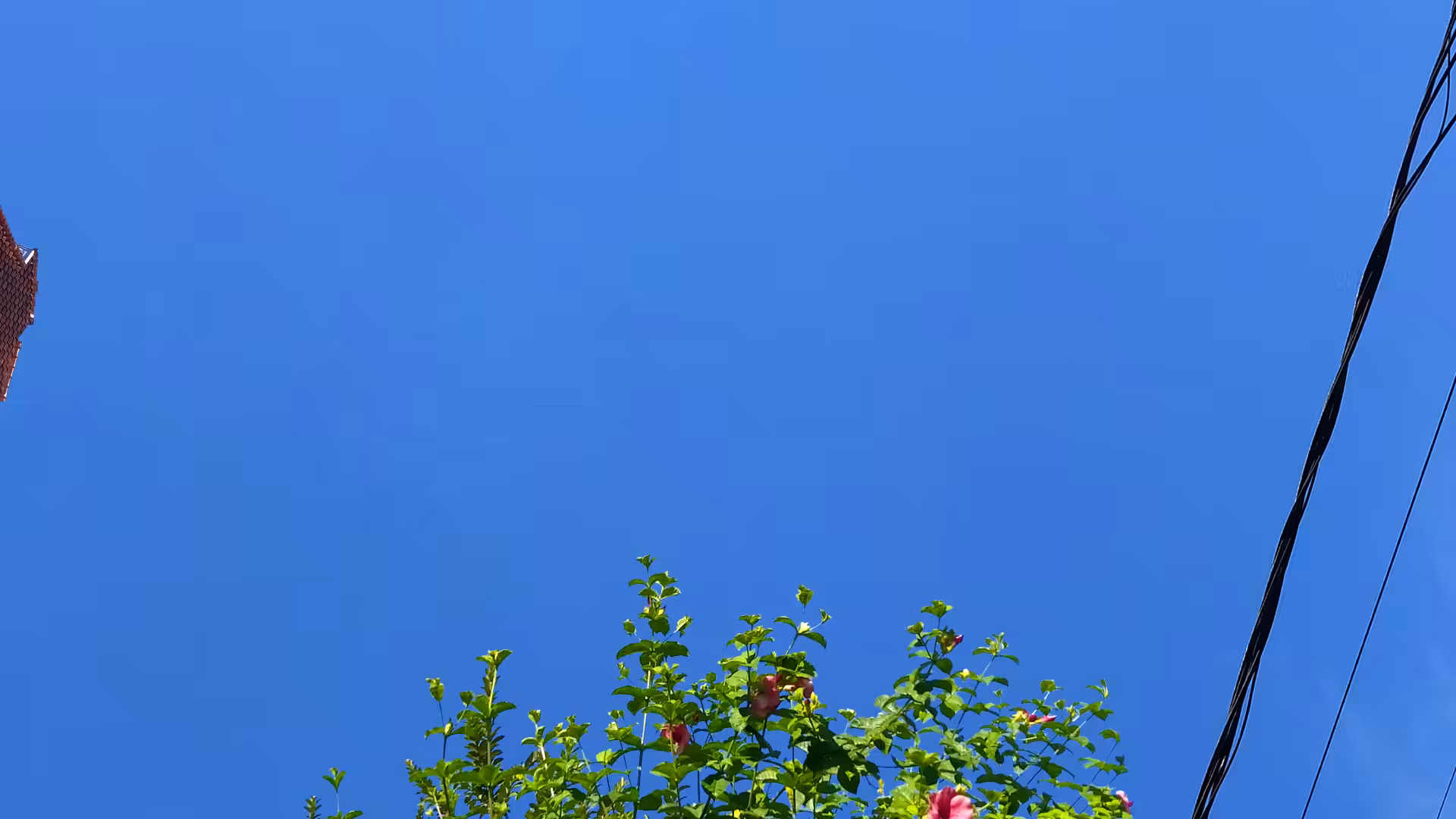 Blue Screen #13