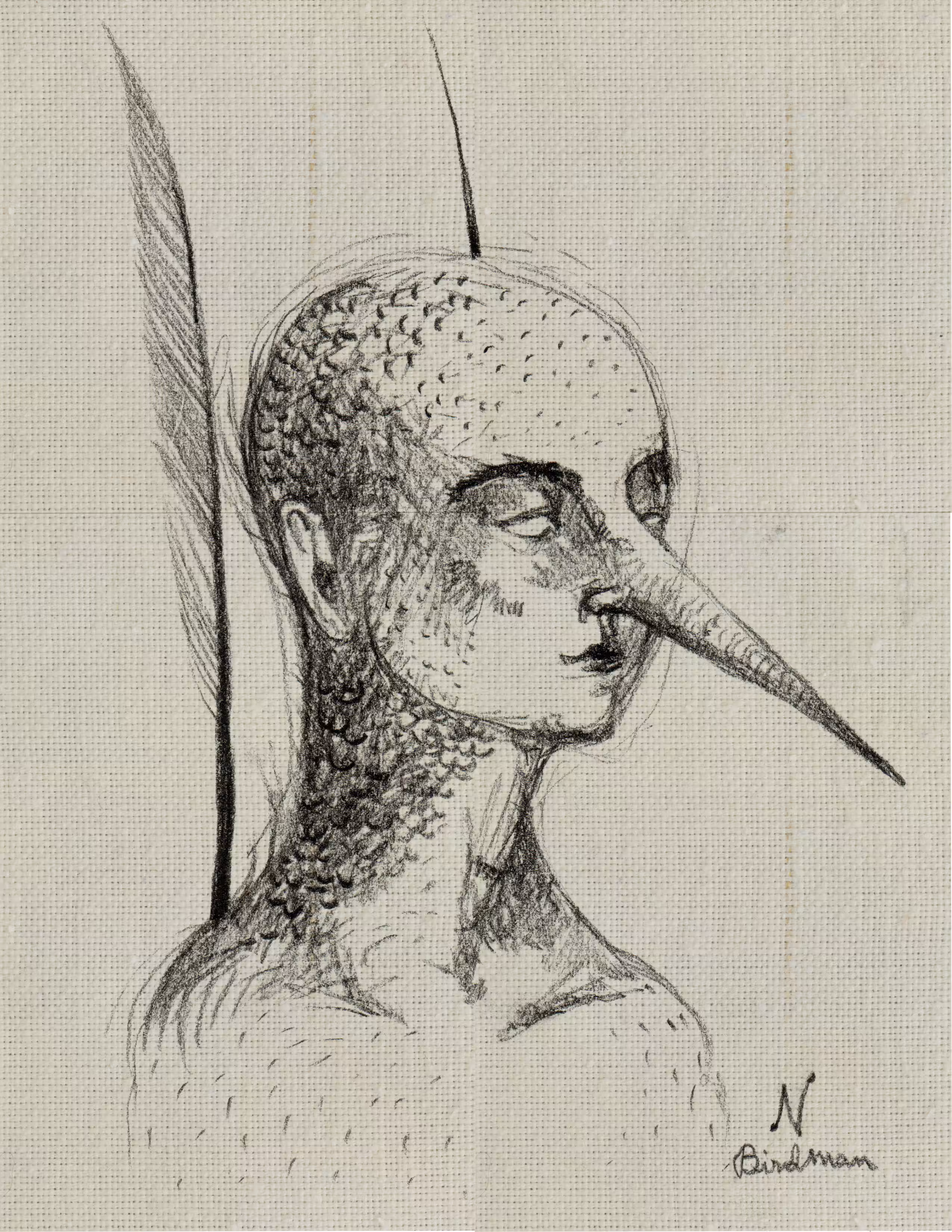 The birdman