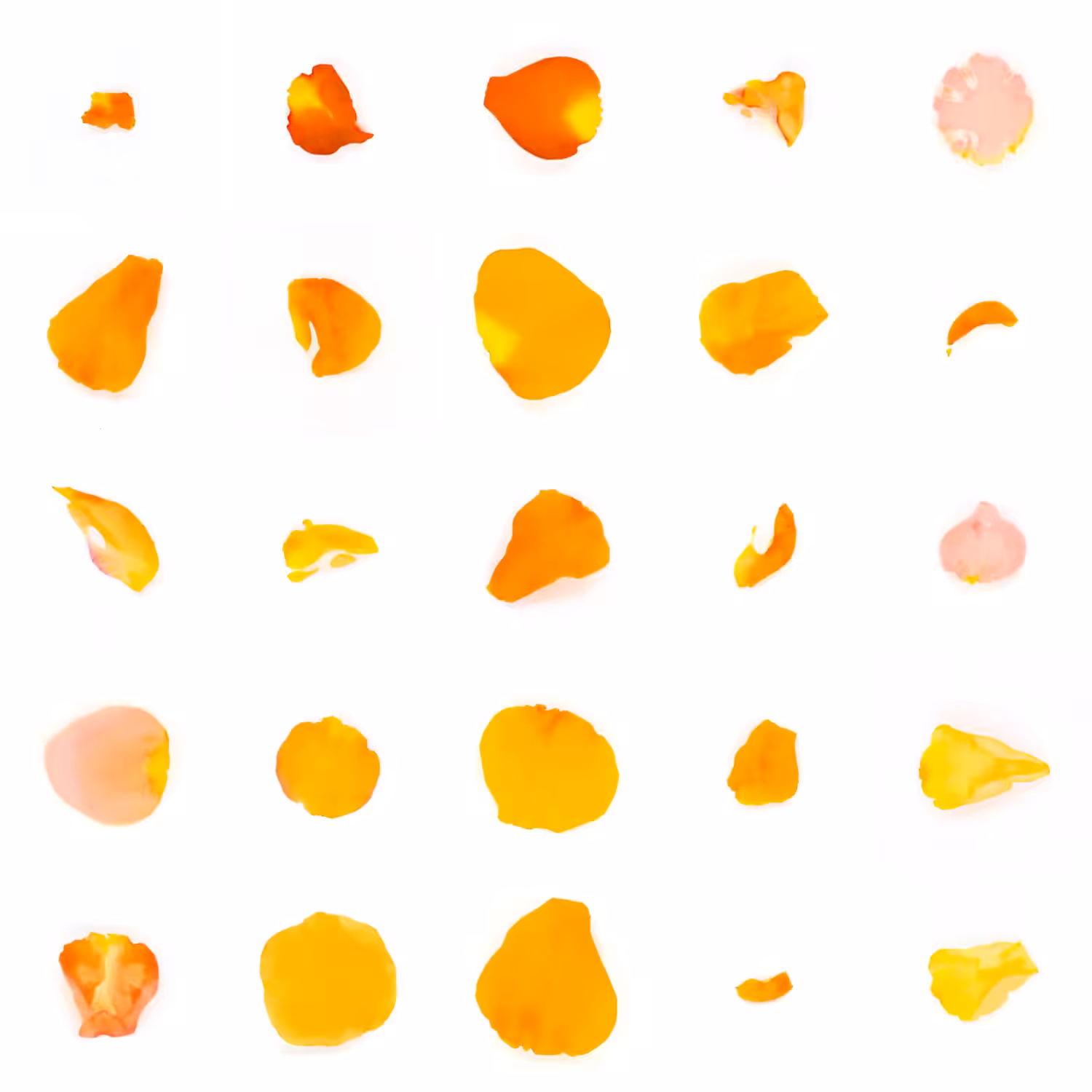 Infinite Petals 5x5#20574