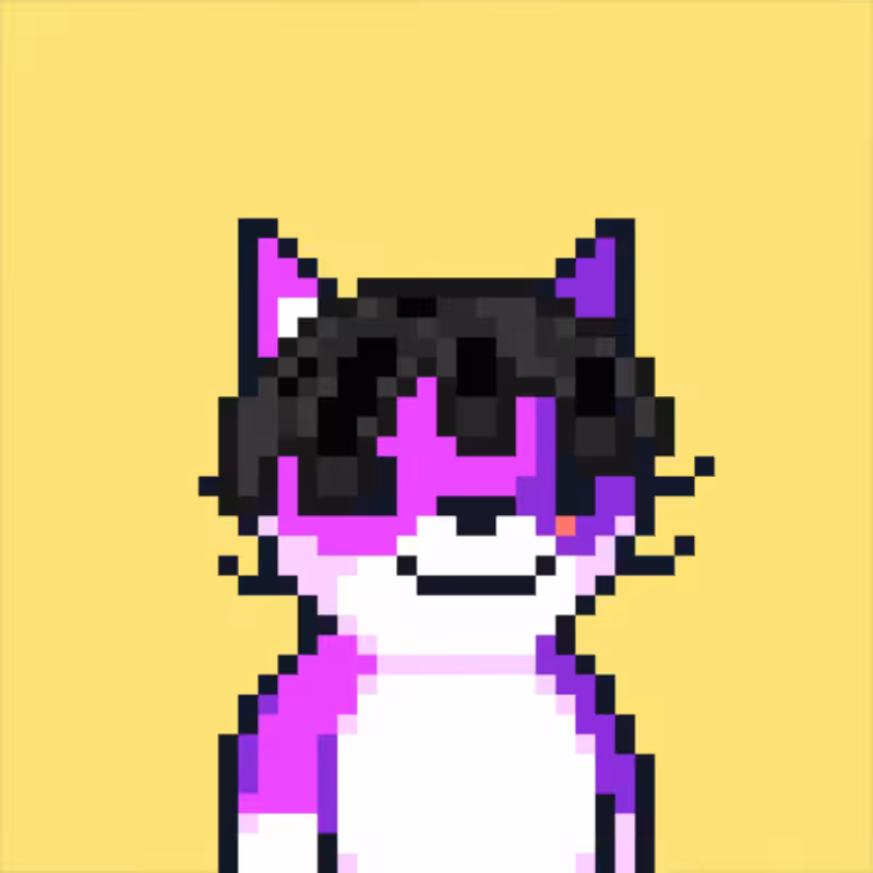 MEOWPIX #20
