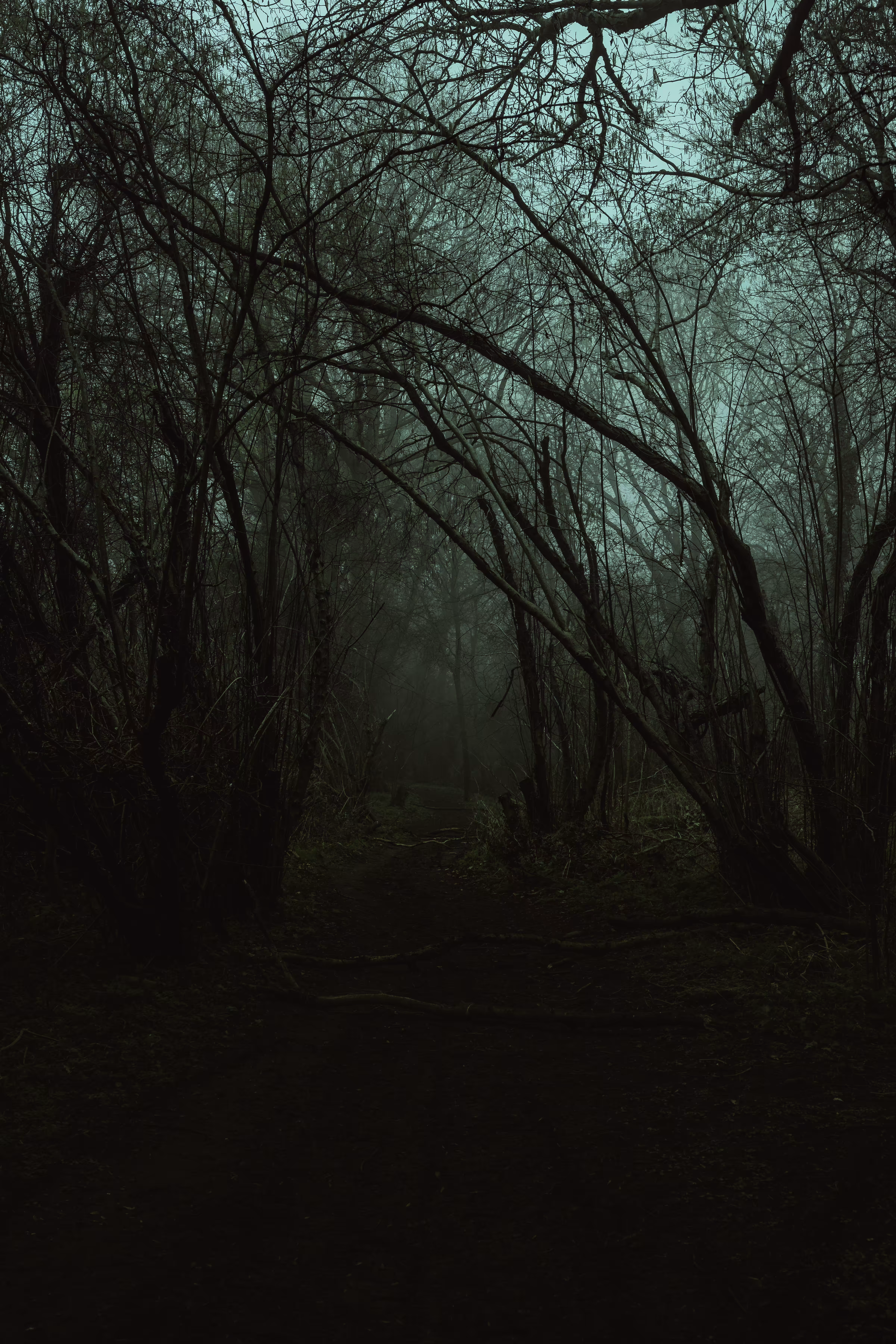 Running from the darkness