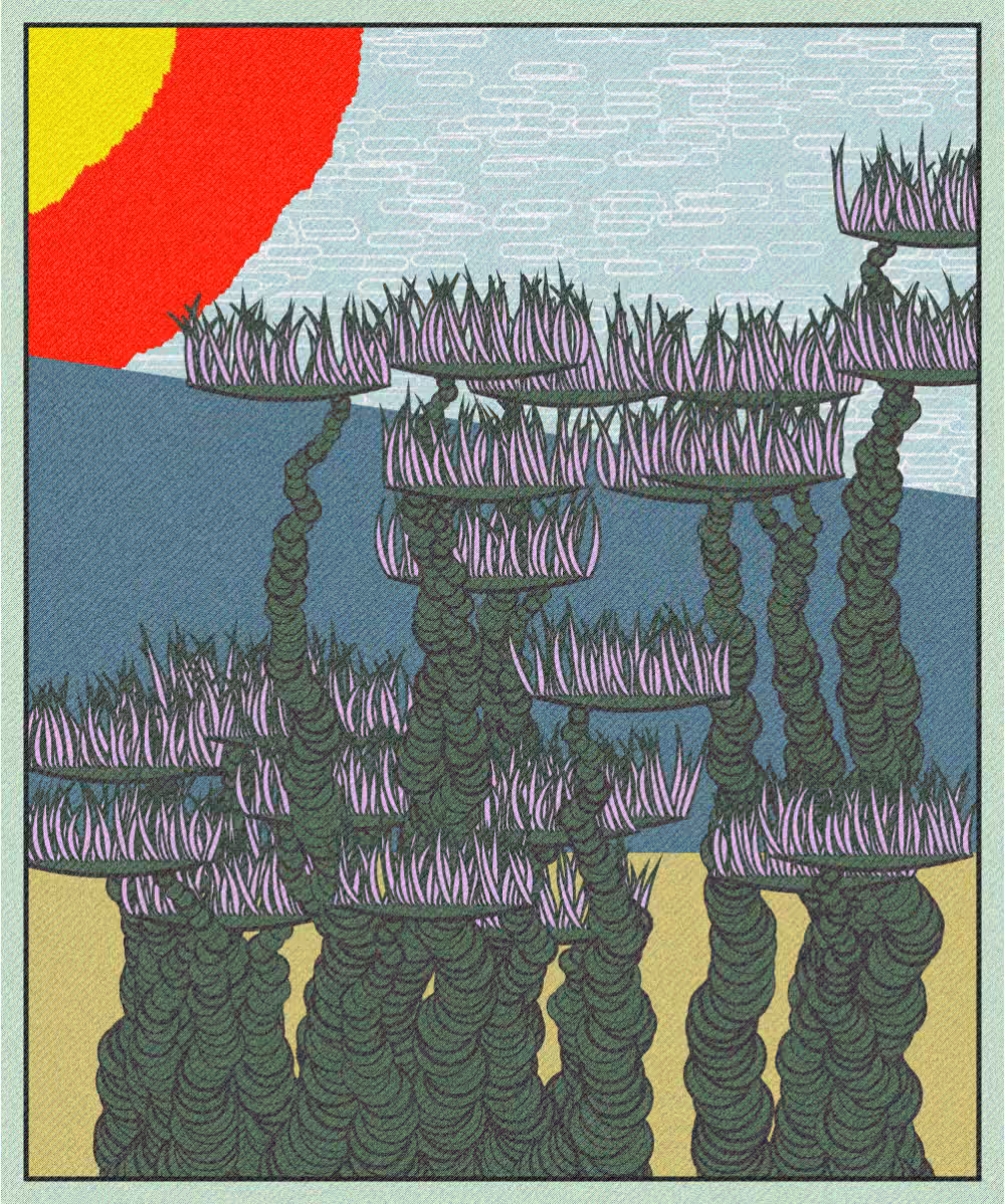 Far coast #4