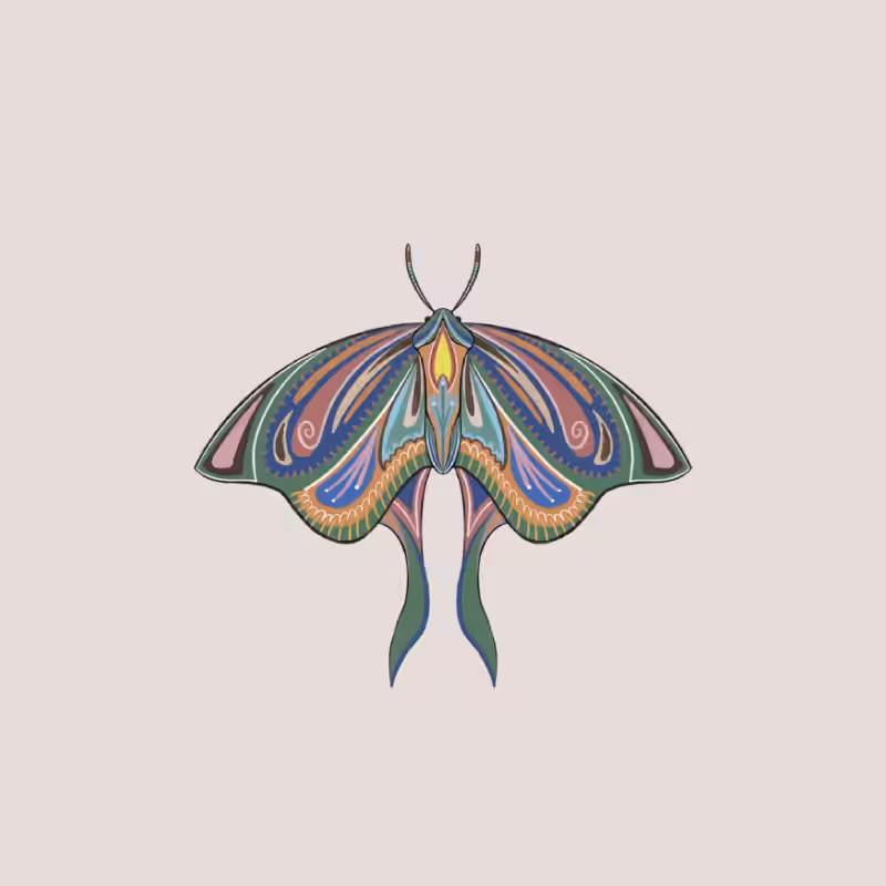 The Moth Experiment 2.0 P2 #24