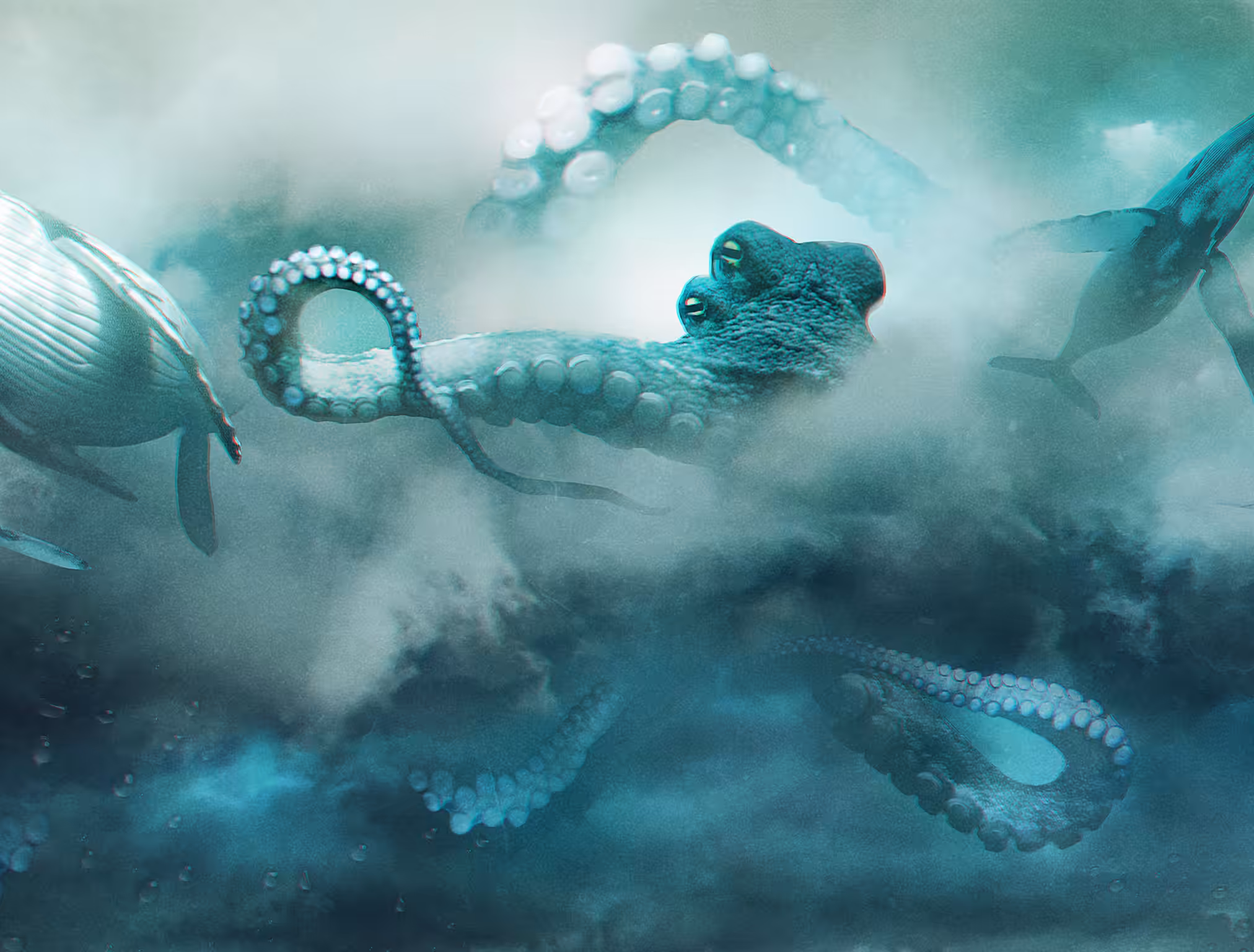 Ocean in the skies