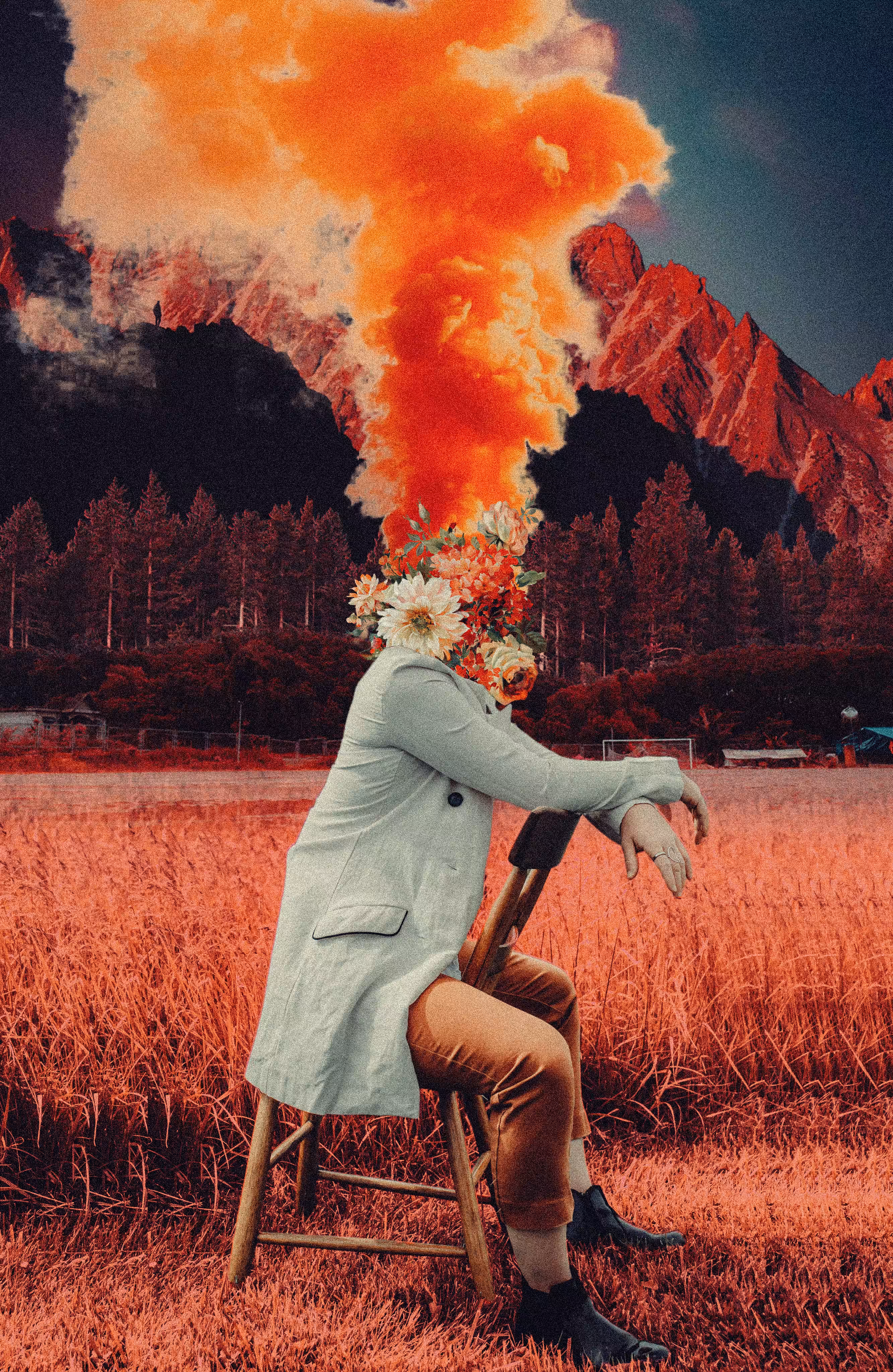 The floral head from the scarlet fields