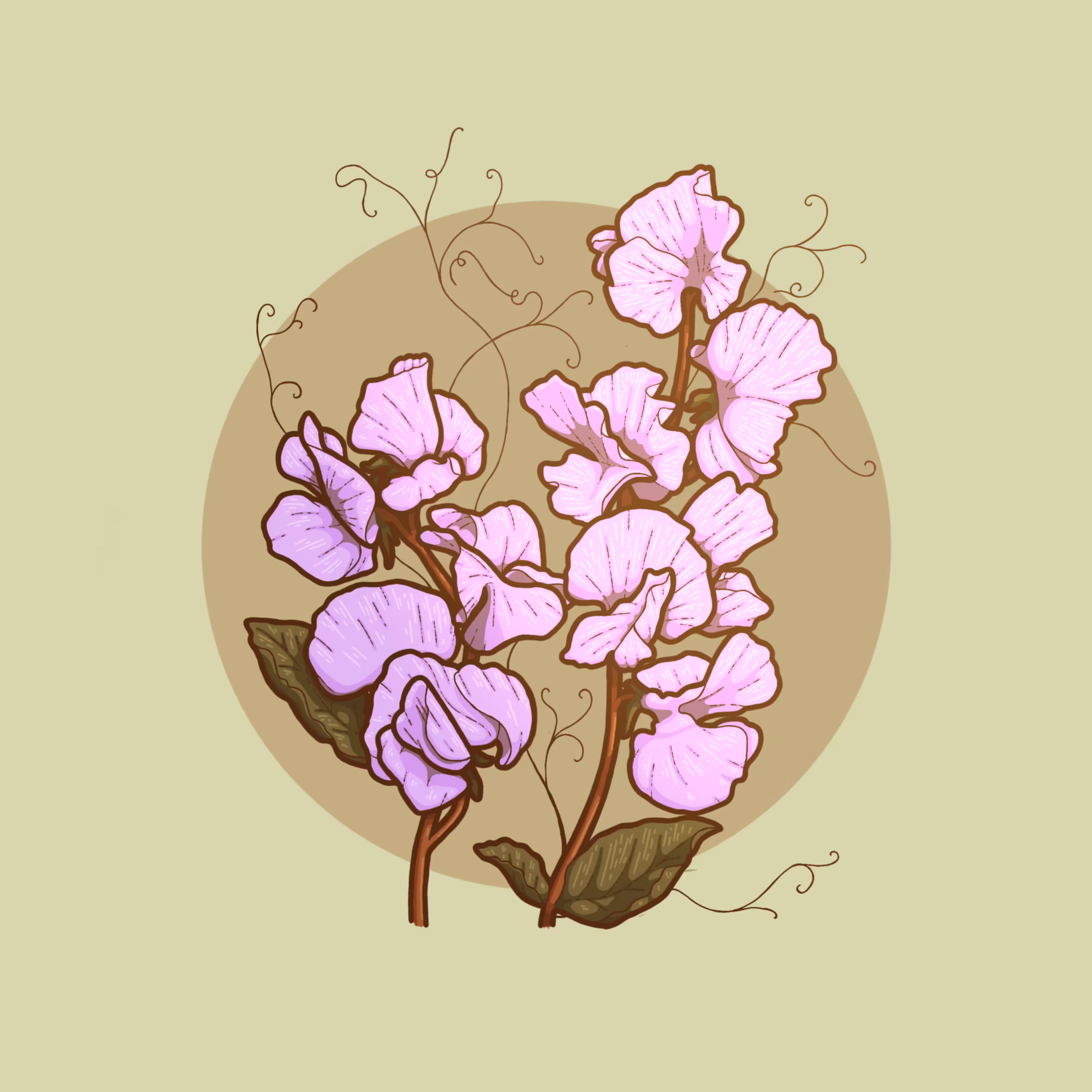 Sweet Pea
