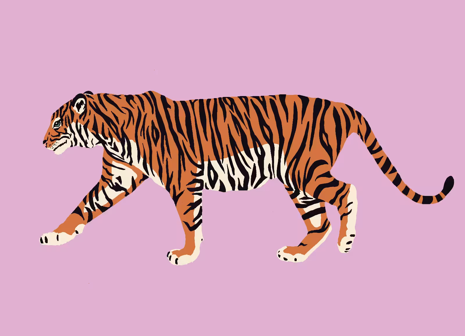 Tiger Gay King