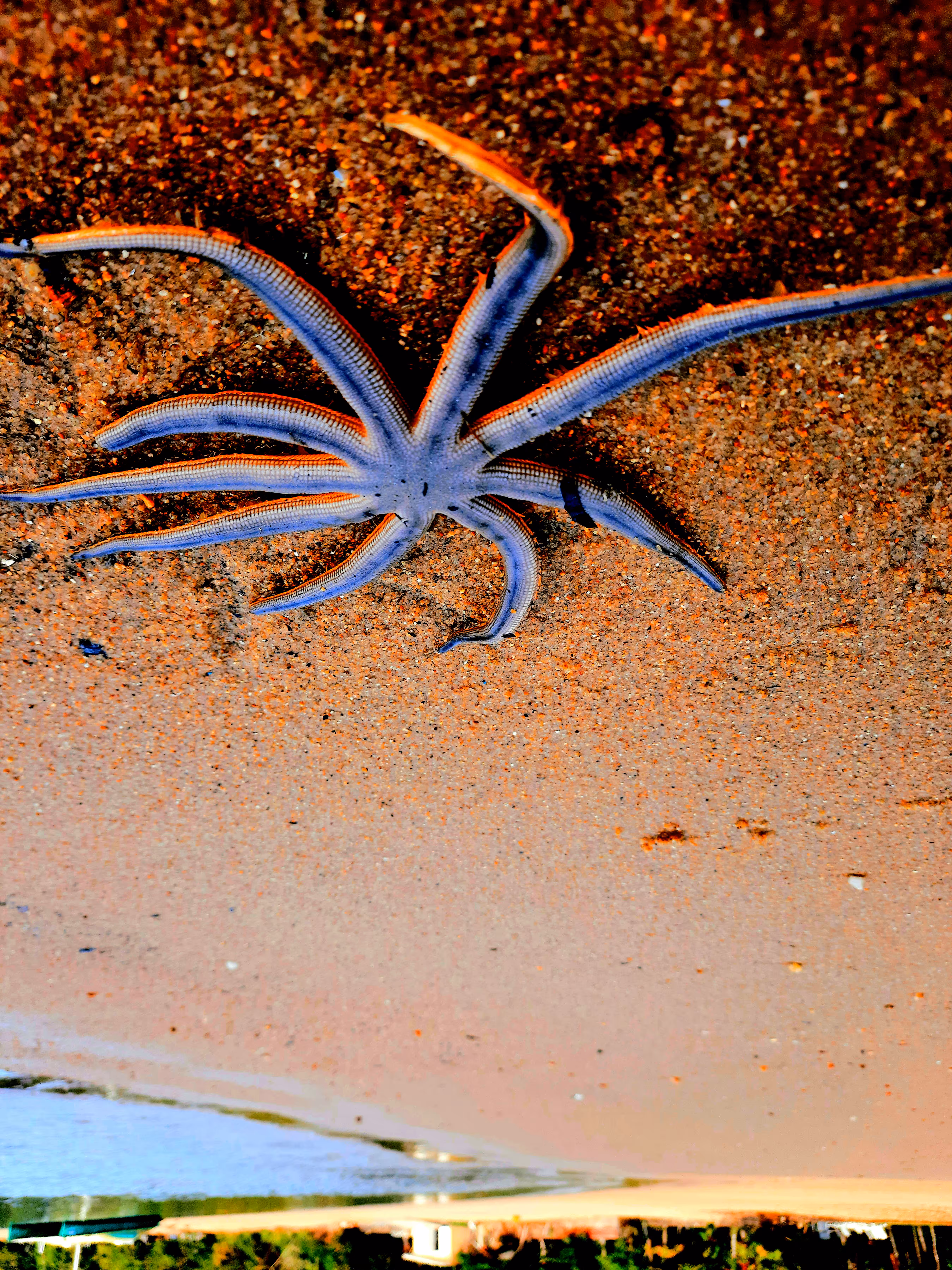 Abstract-Nature#12 