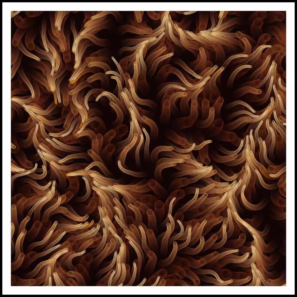 Studies of Motion  #43