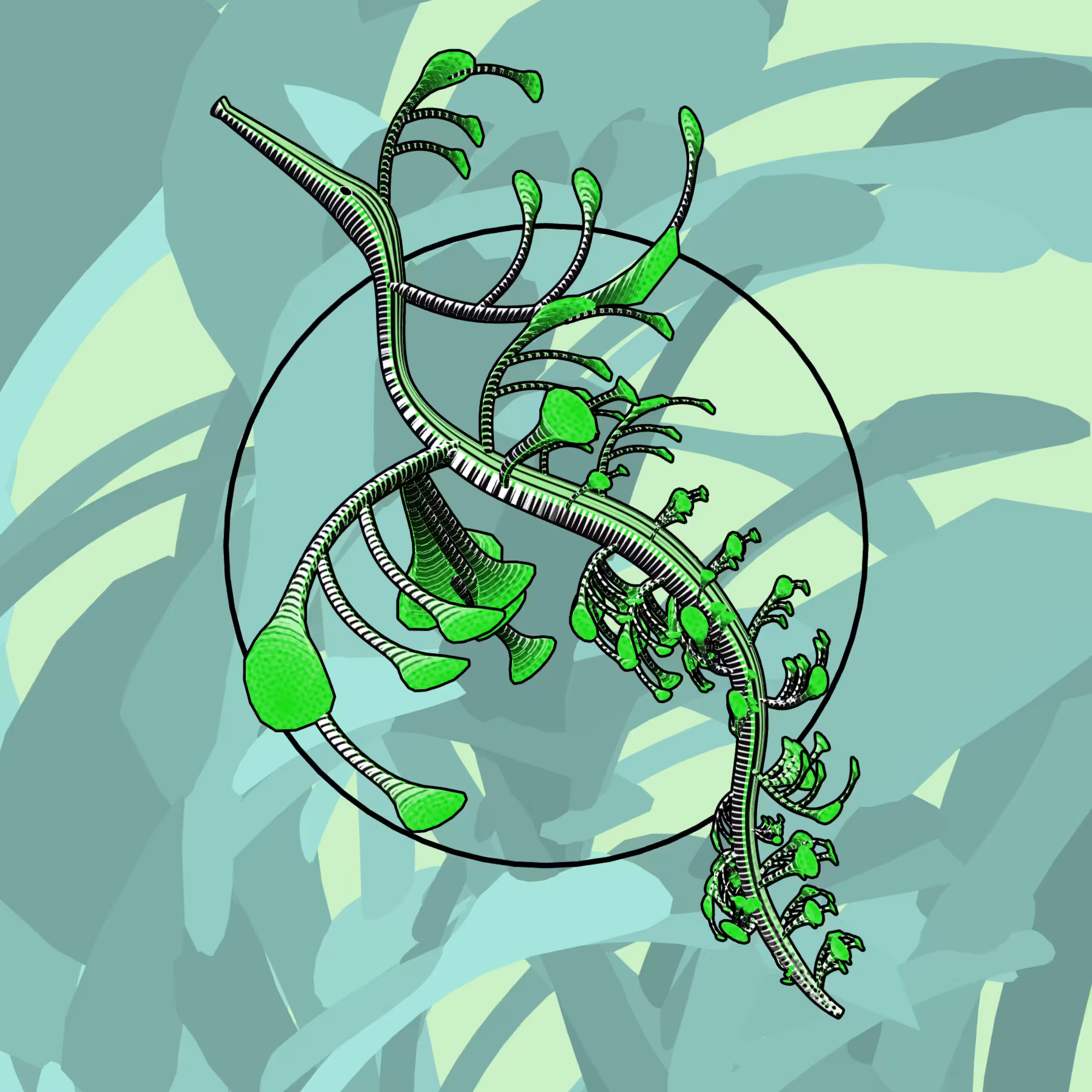 Seadragons #702