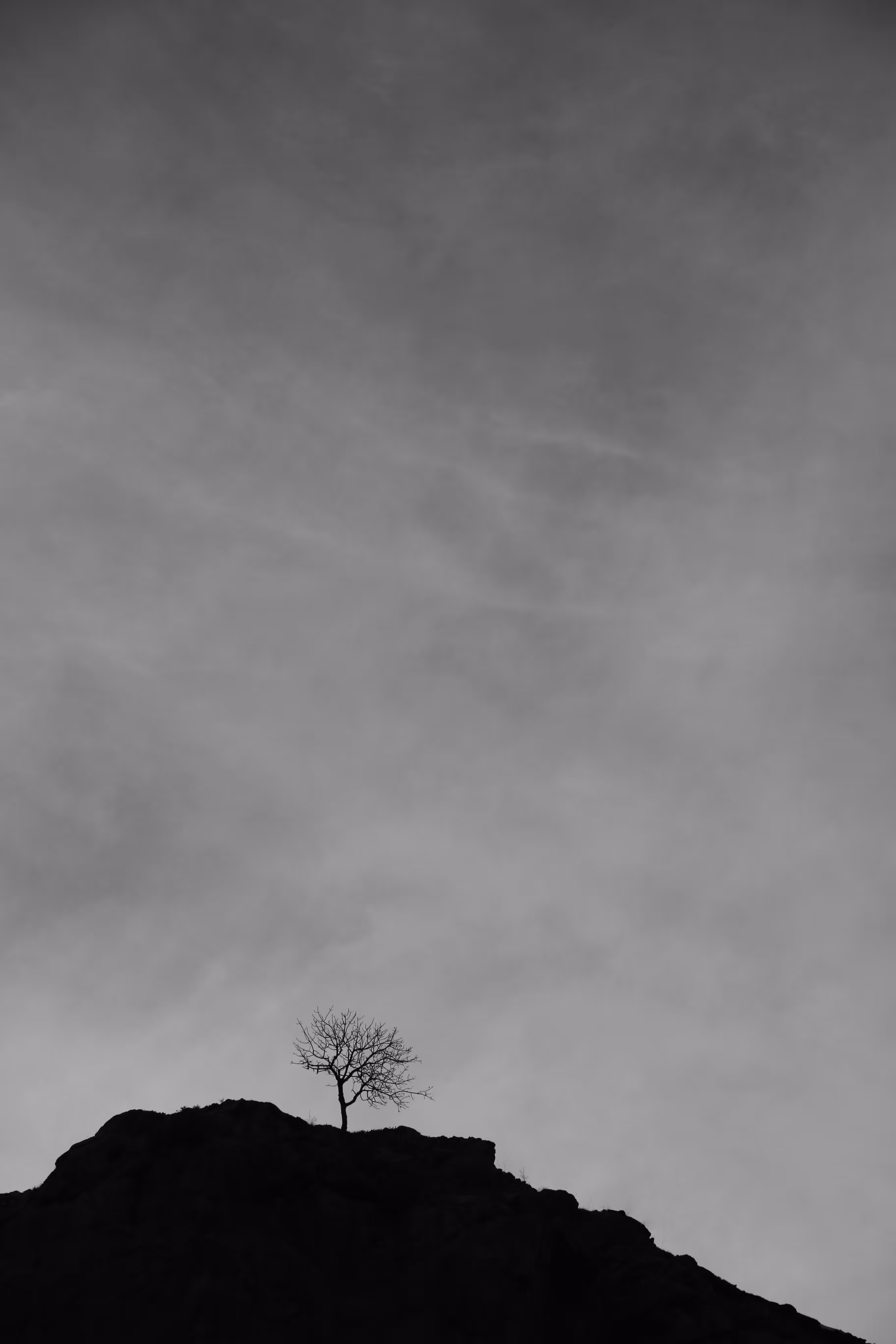 Alone on the rocks