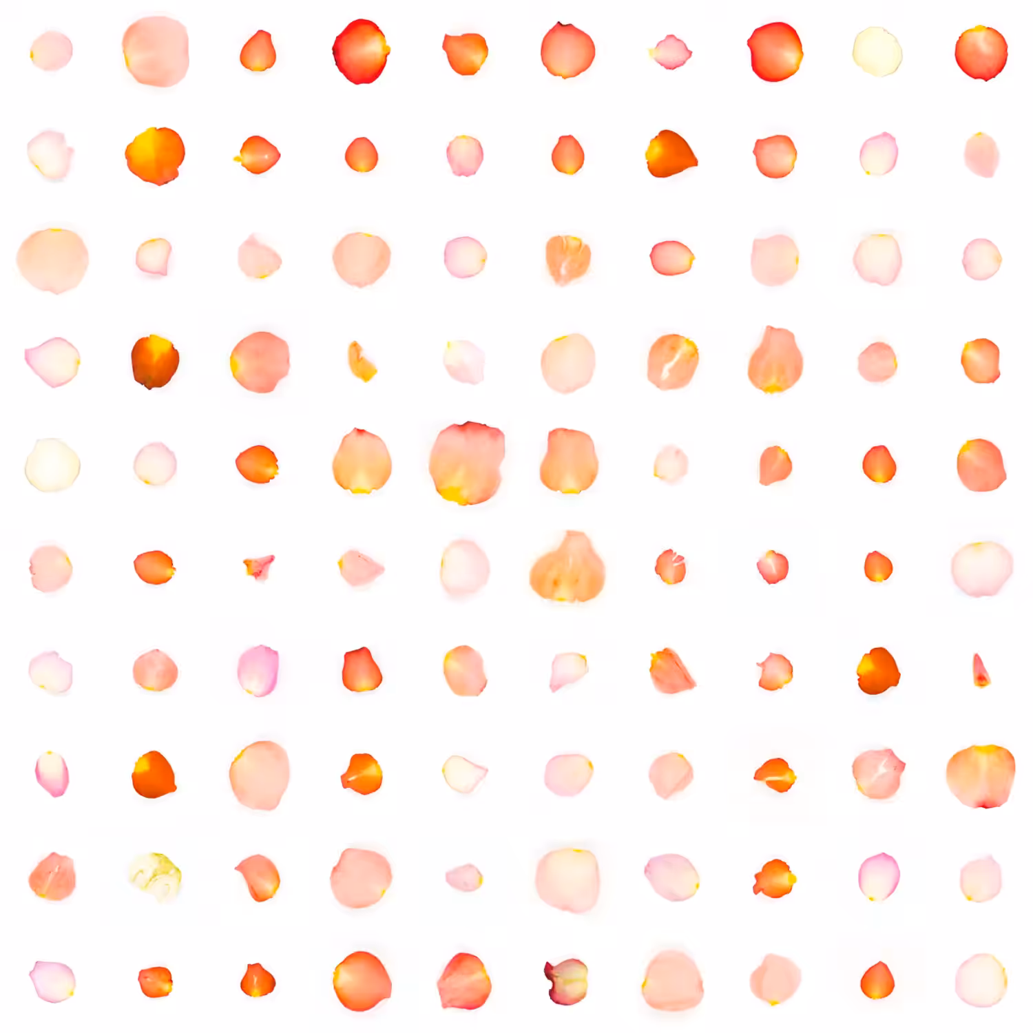 Infinite Petals 10x10#900023