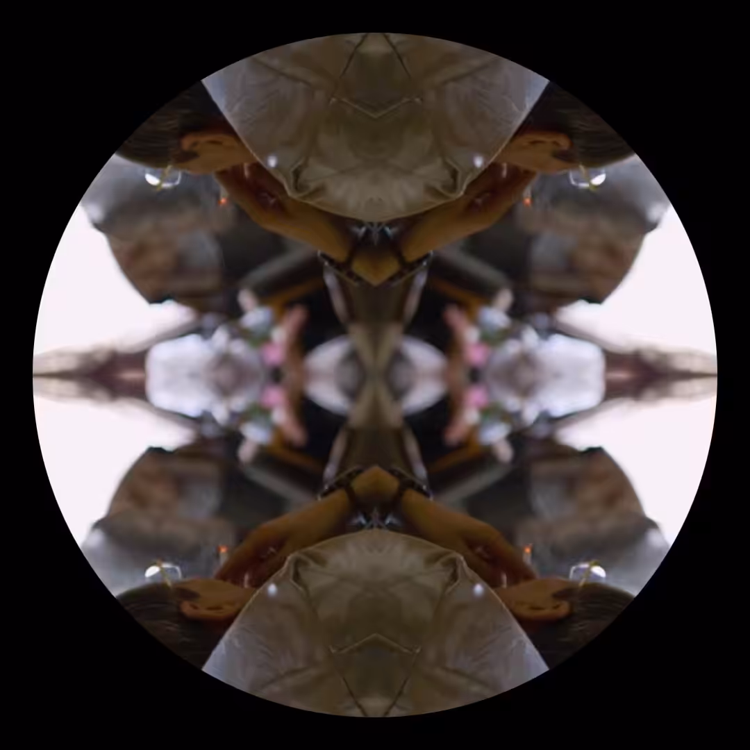 Oseibo 0007