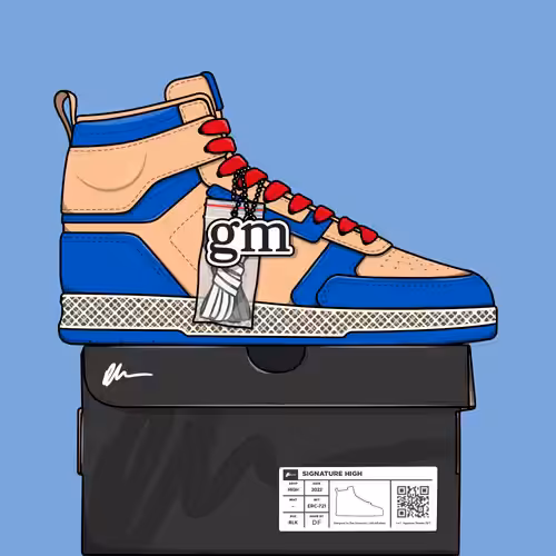 Signature Sneakers Highs #669
