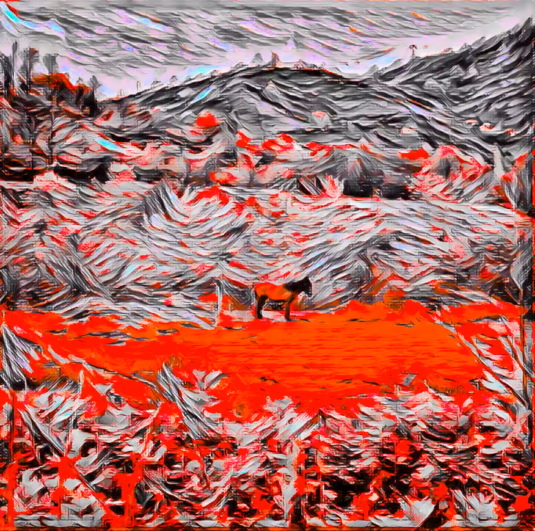 Horse
