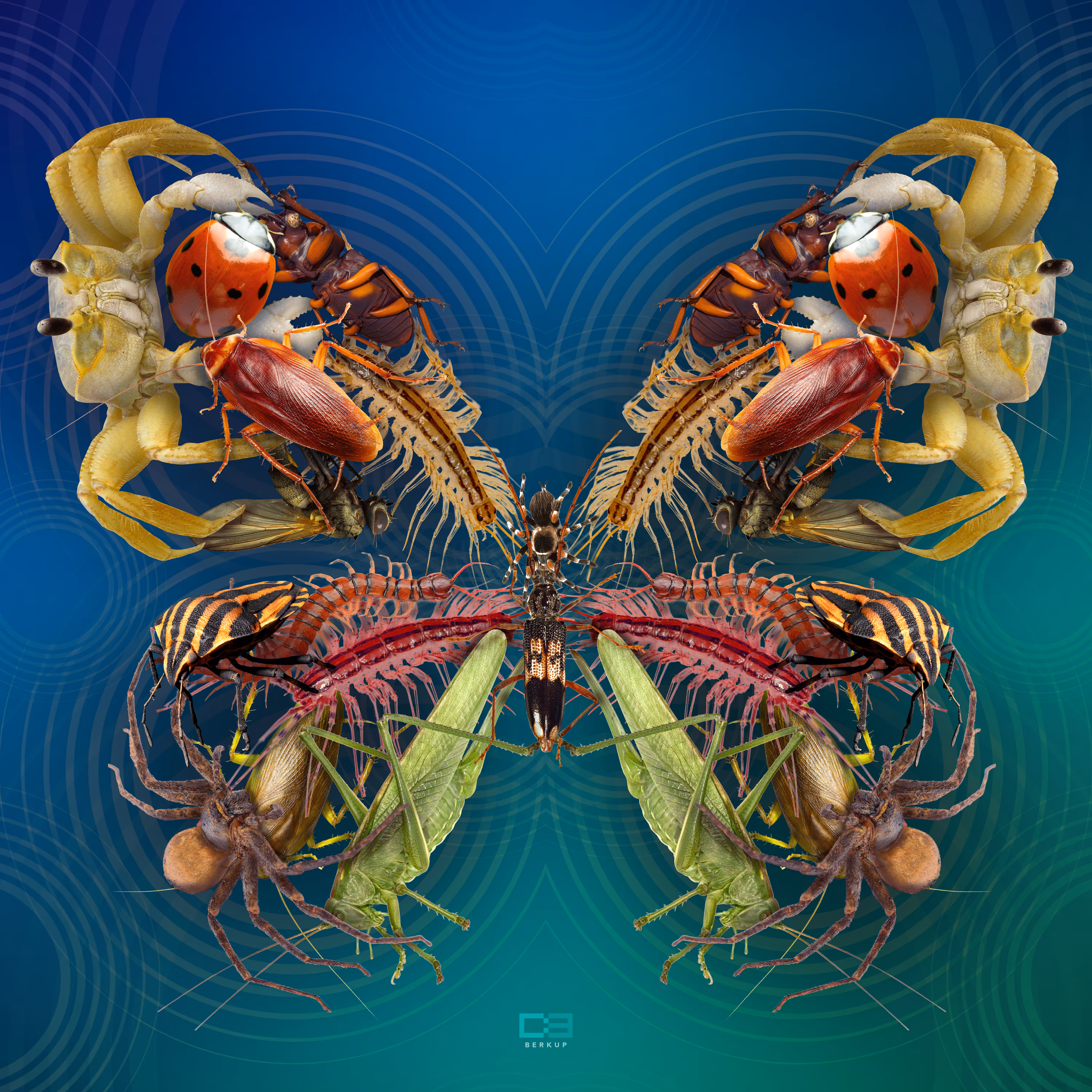 Betterfly - Insects