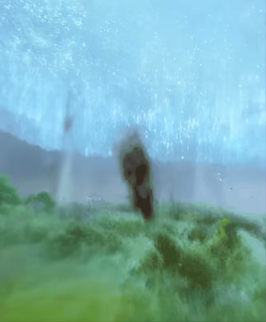 The walking of bodies on the changing climate: The Carbon Footprint of Every Pixel