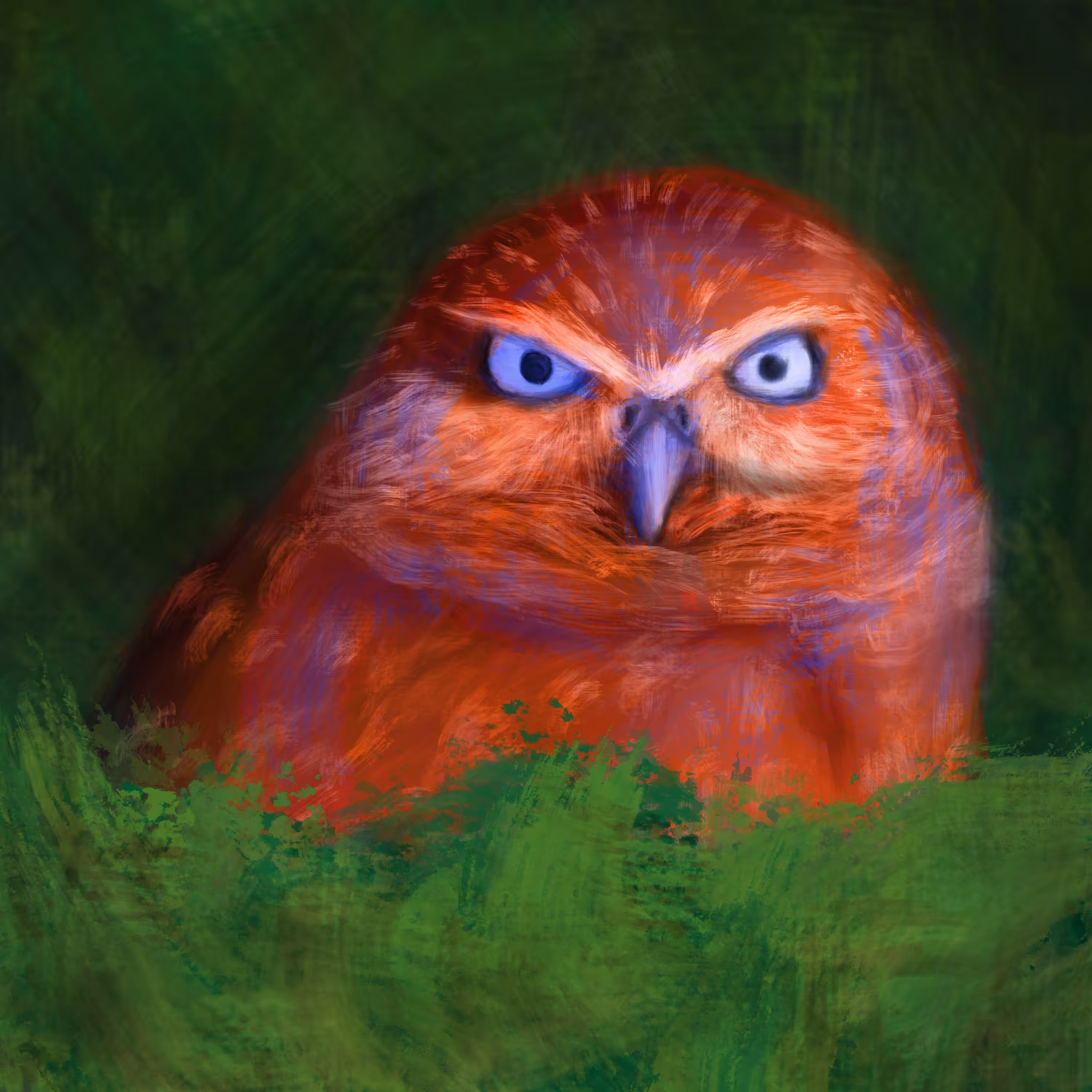 #6 Athene cunicularia floridana